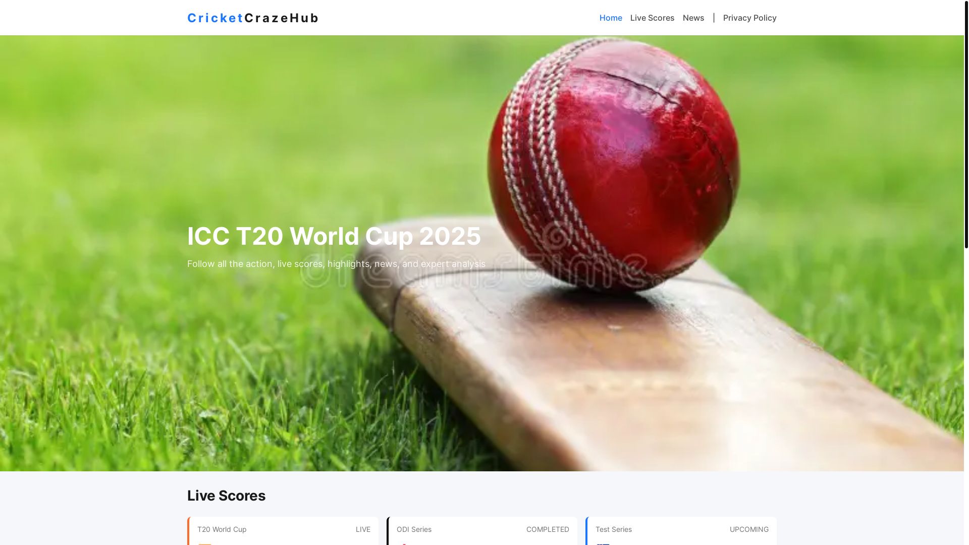 website screenshot of https://cricketcrazehub.shop/