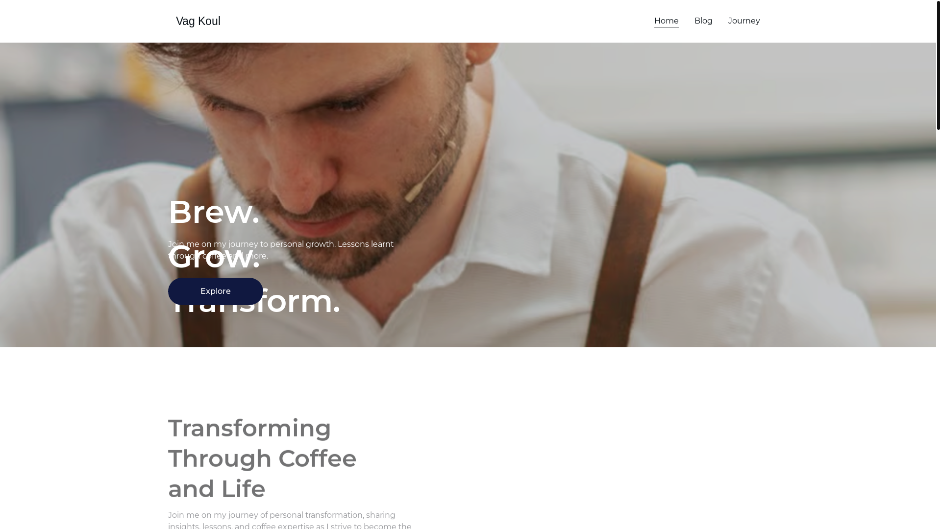 website screenshot of https://vagkoul.com/