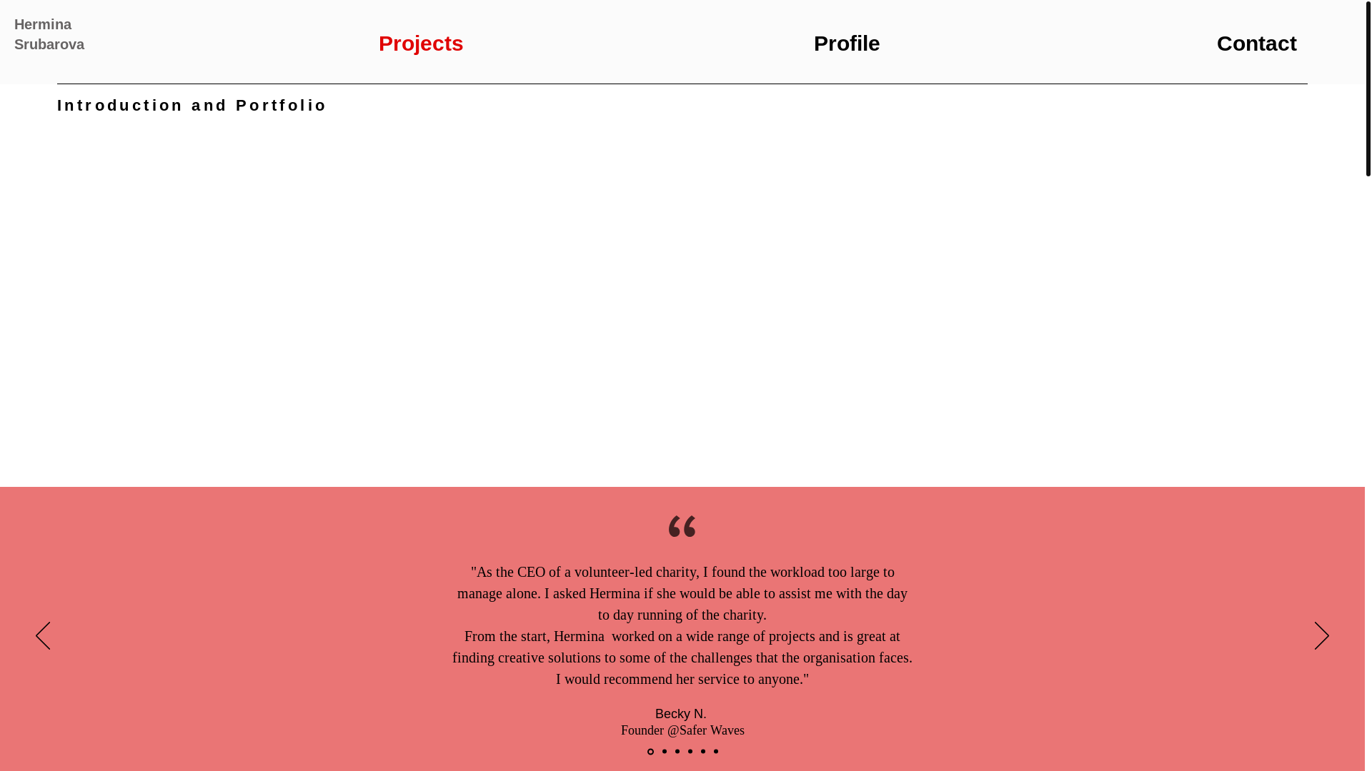 website screenshot of https://srubarova.co.uk/