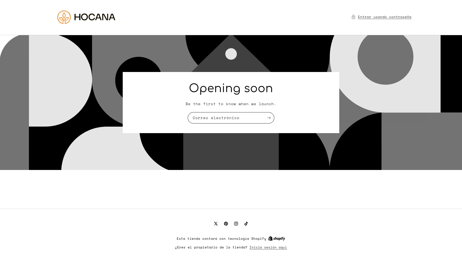 website screenshot of https://hocana.cl/