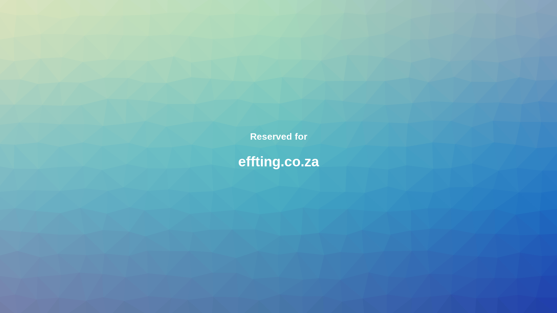 website screenshot of https://effting.co.za/