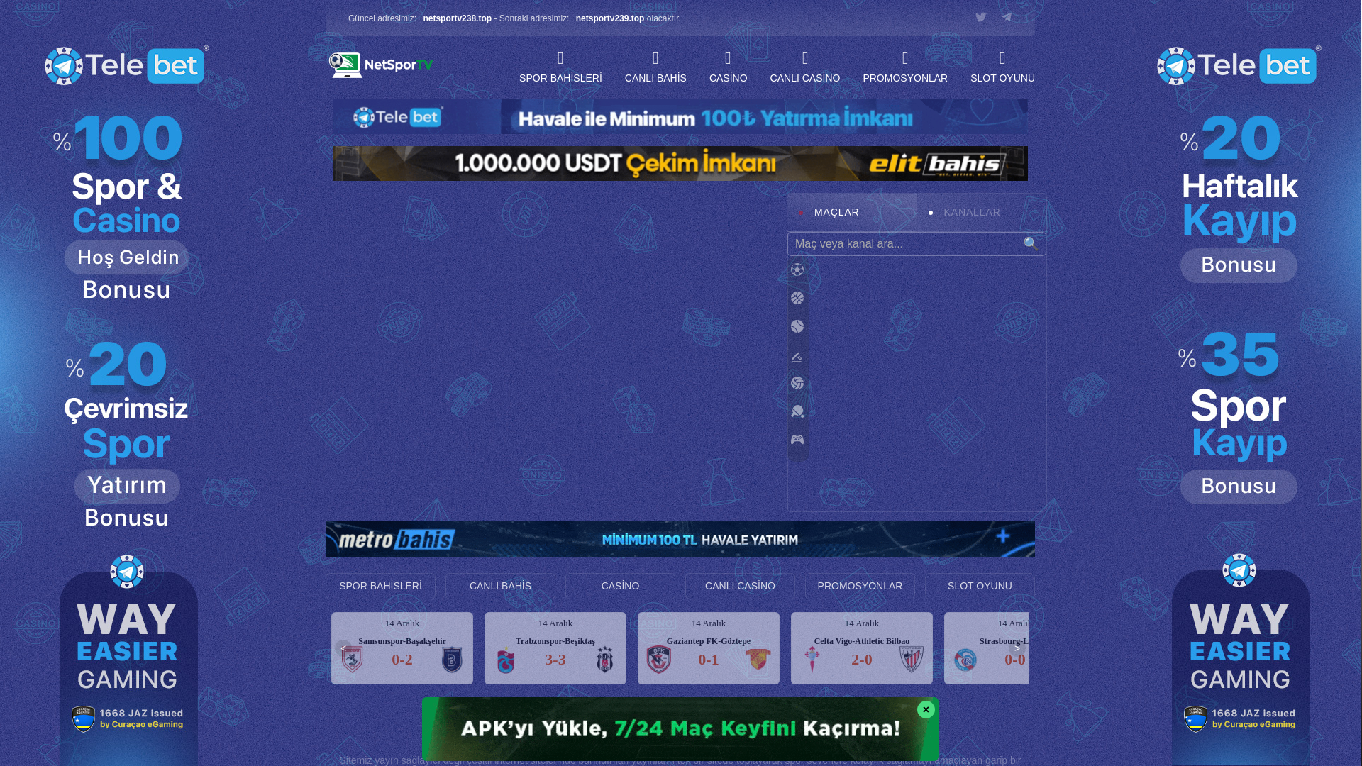 website screenshot of https://netsportv238.top/