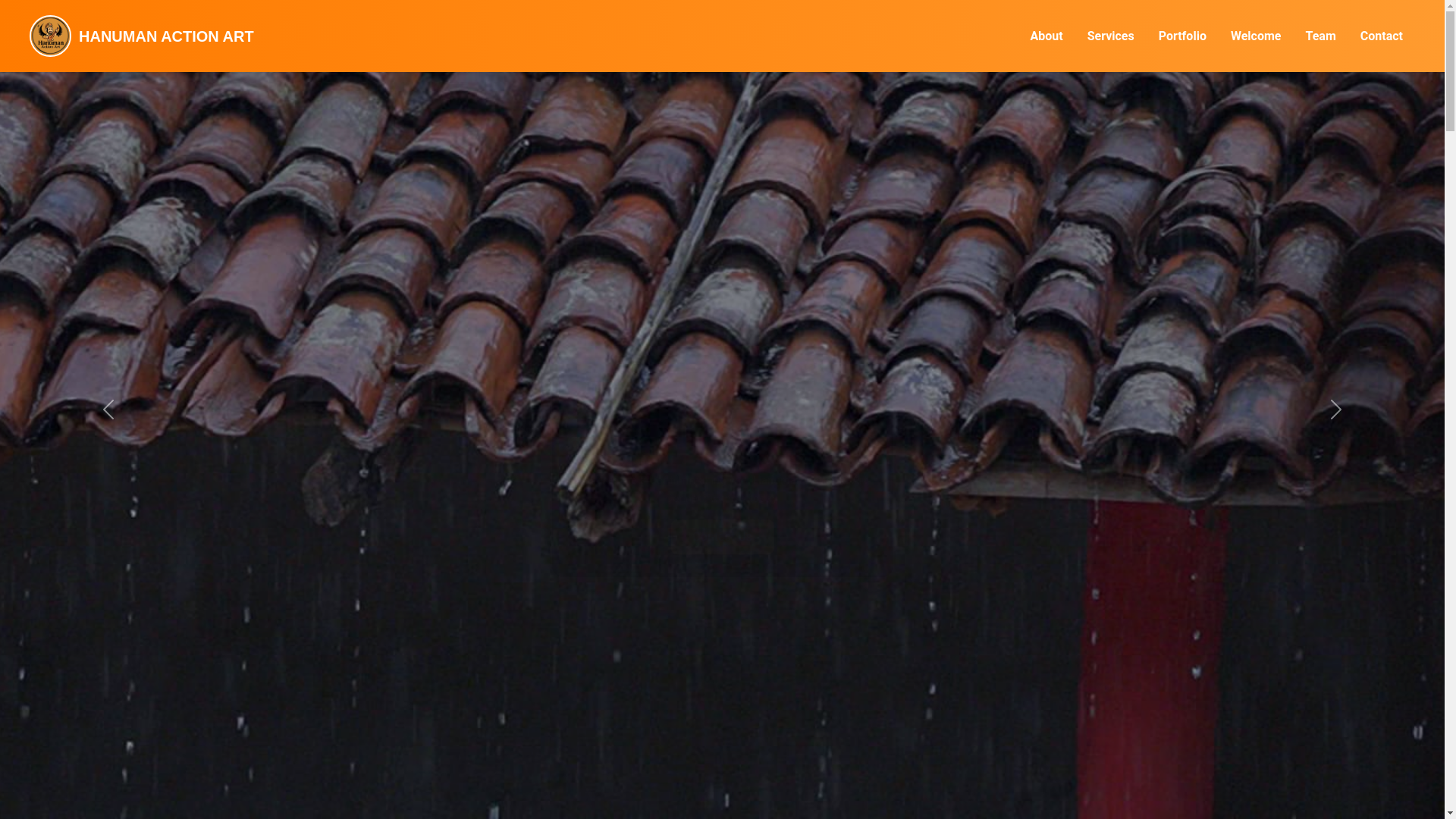 website screenshot of https://hanumanactionart.com/