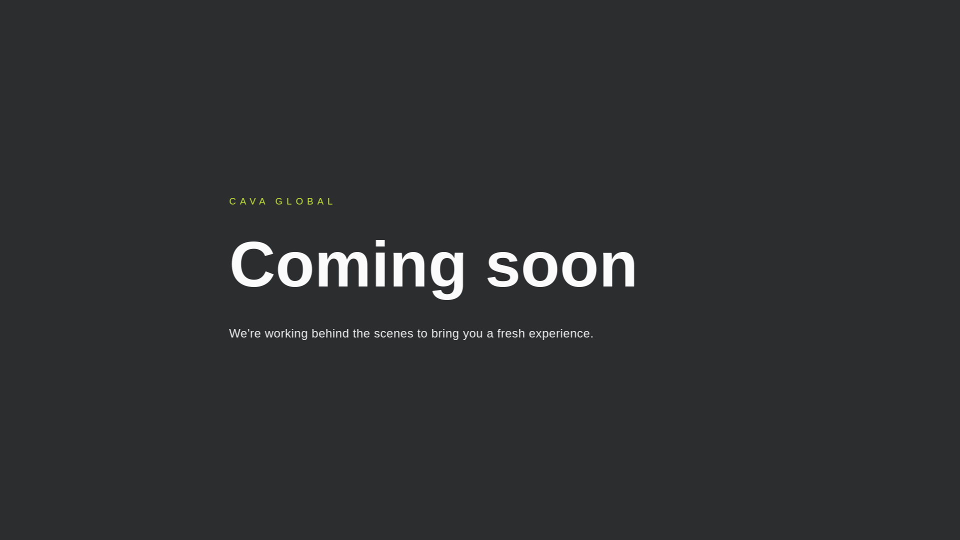 website screenshot of https://cavaglobalgroup.com/