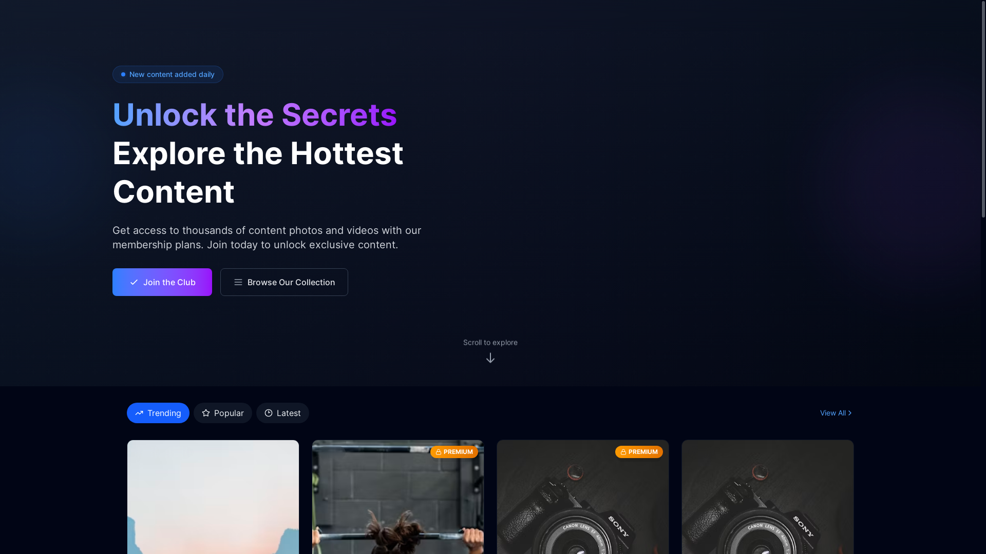 website screenshot of https://the1-landing.pages.dev/
