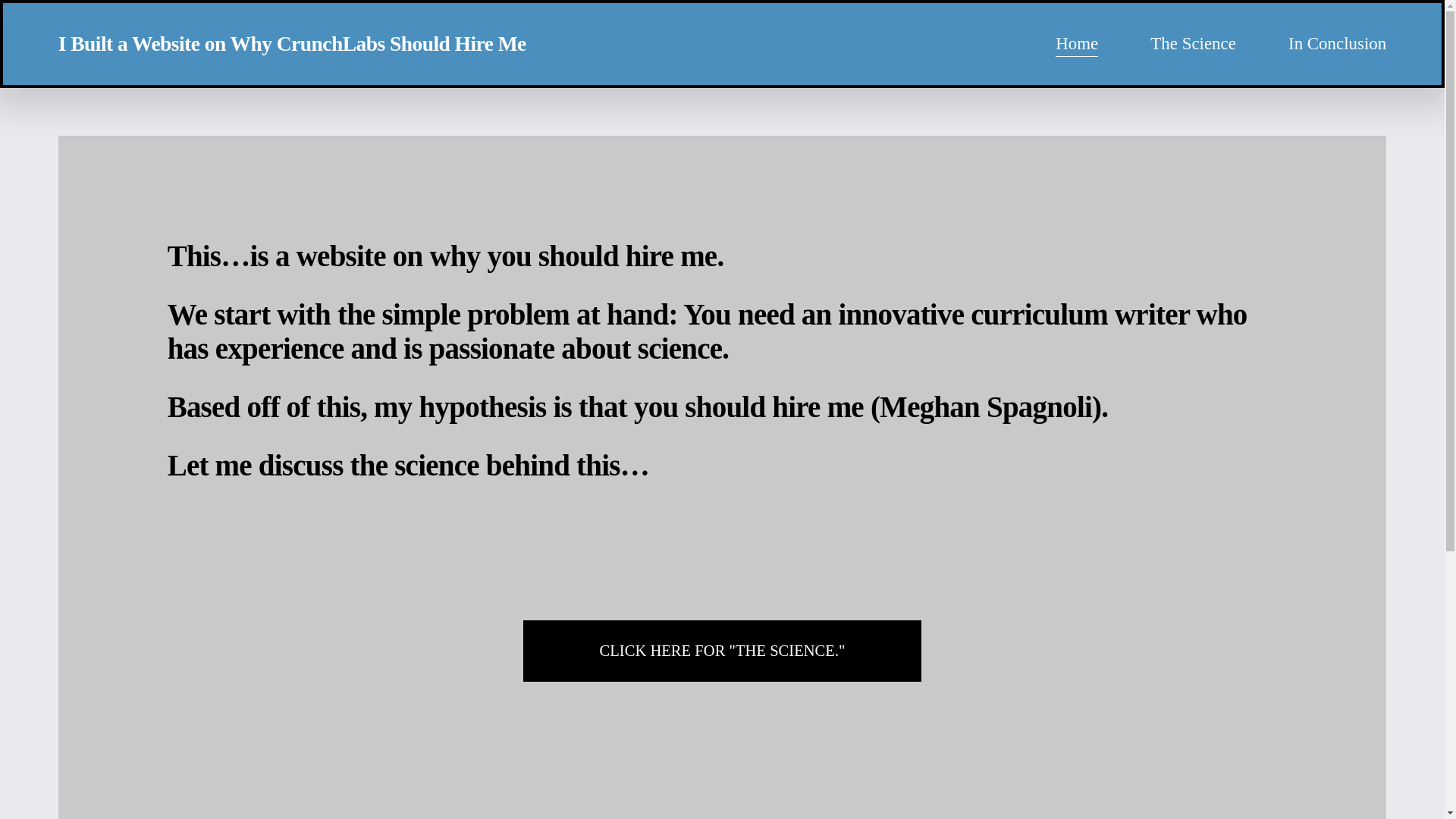 website screenshot of https://meghanspagnoli.org/