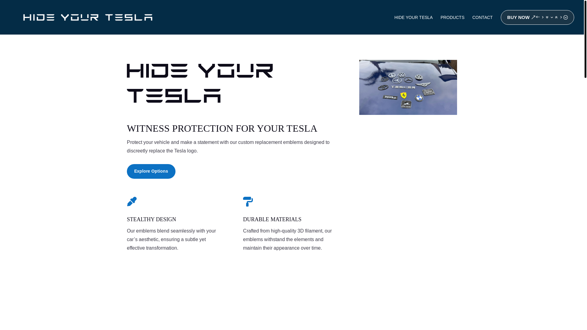 website screenshot of https://hideyourtesla.pages.dev/