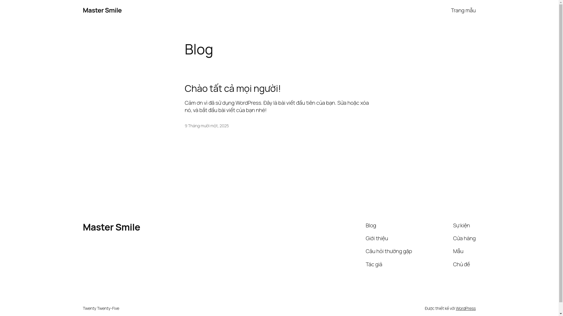 website screenshot of https://mastersmile.vn/