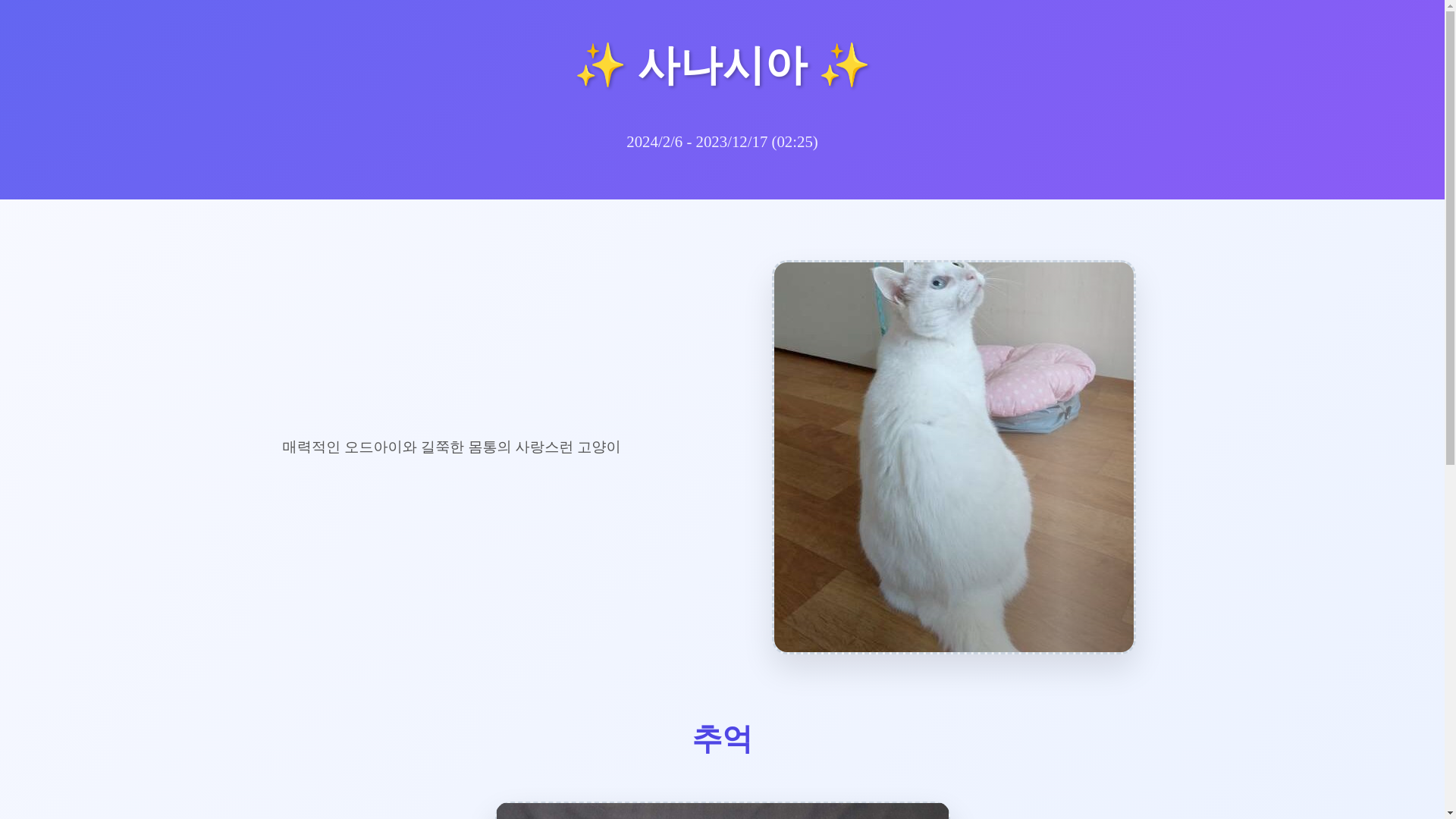 website screenshot of https://sanacia.kr/