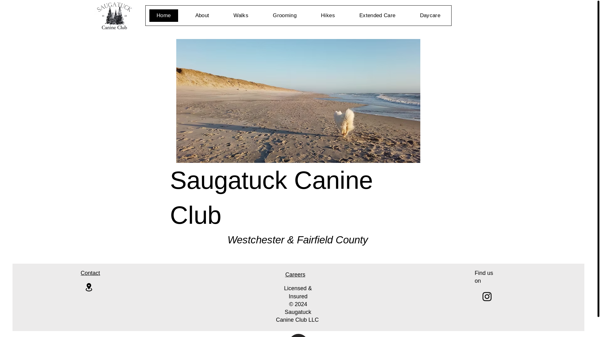 website screenshot of https://riversidecanineclub.com/
