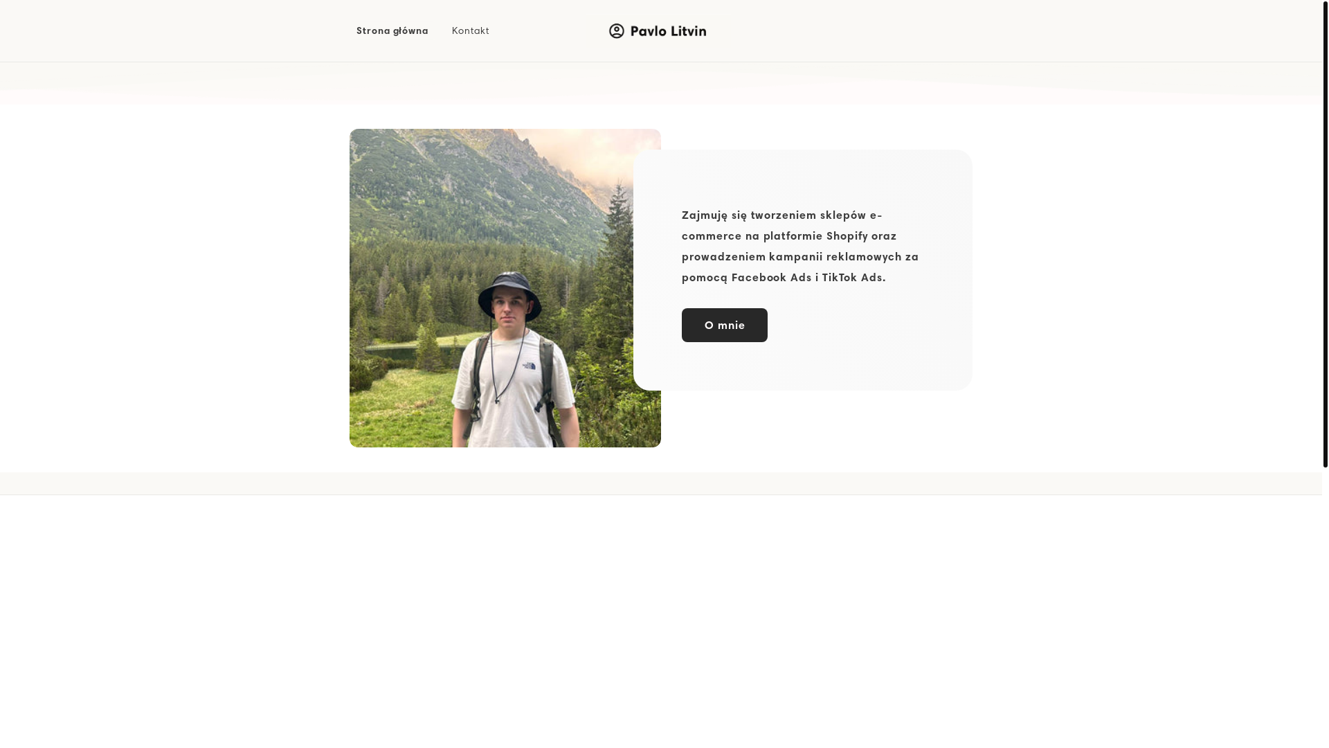 website screenshot of https://pavlolitvin.com/
