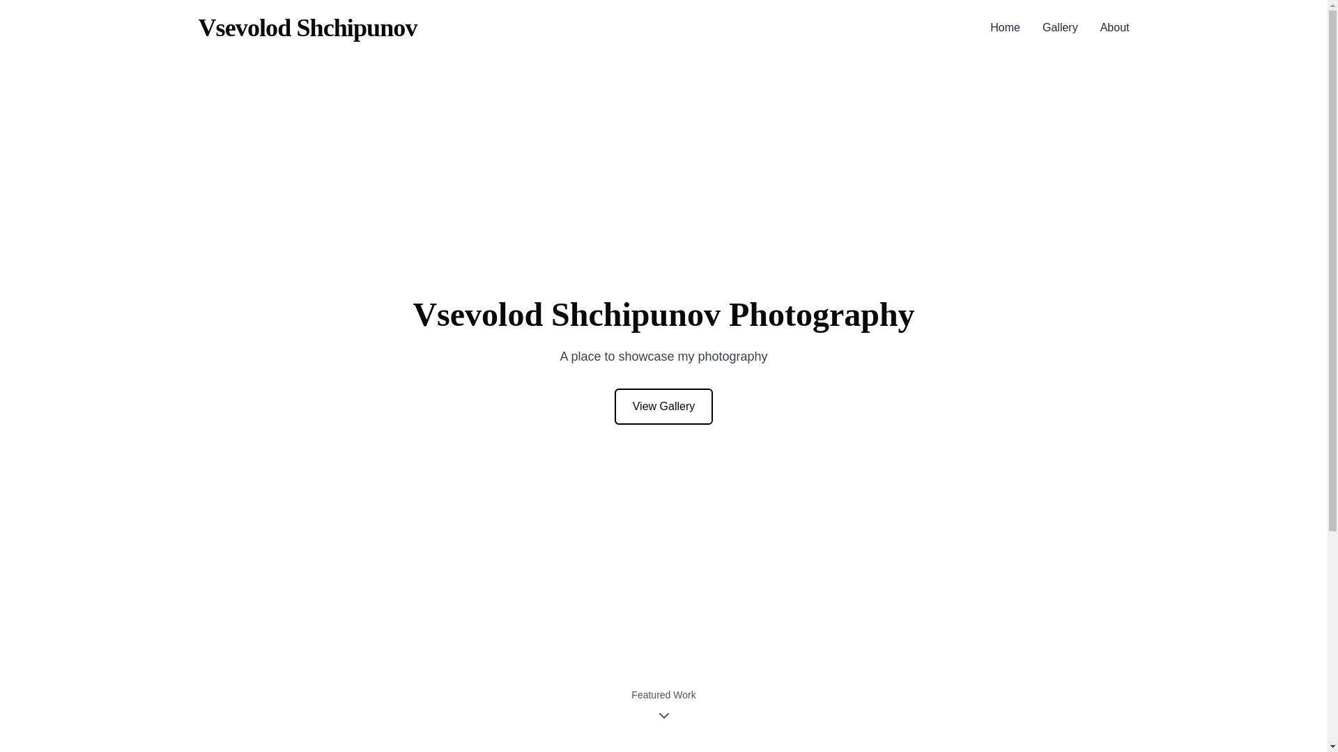 website screenshot of https://shchipunov.com/