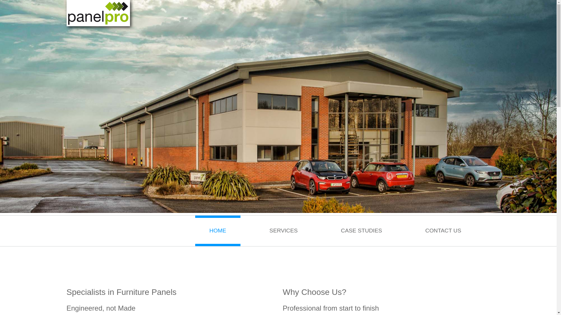 website screenshot of https://panelpro-website.pages.dev/