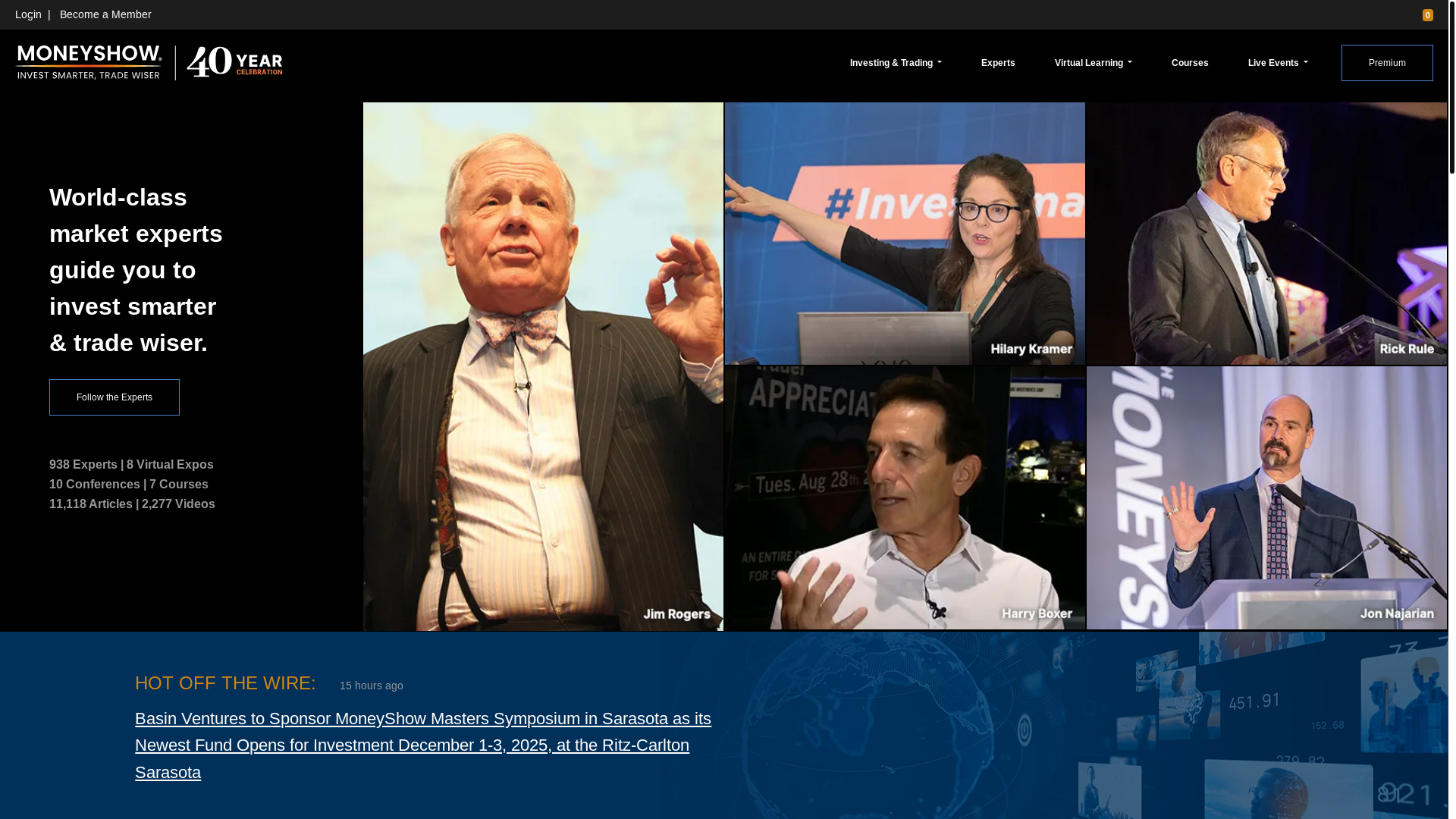 website screenshot of https://mymoneyshowmediapartners.com/