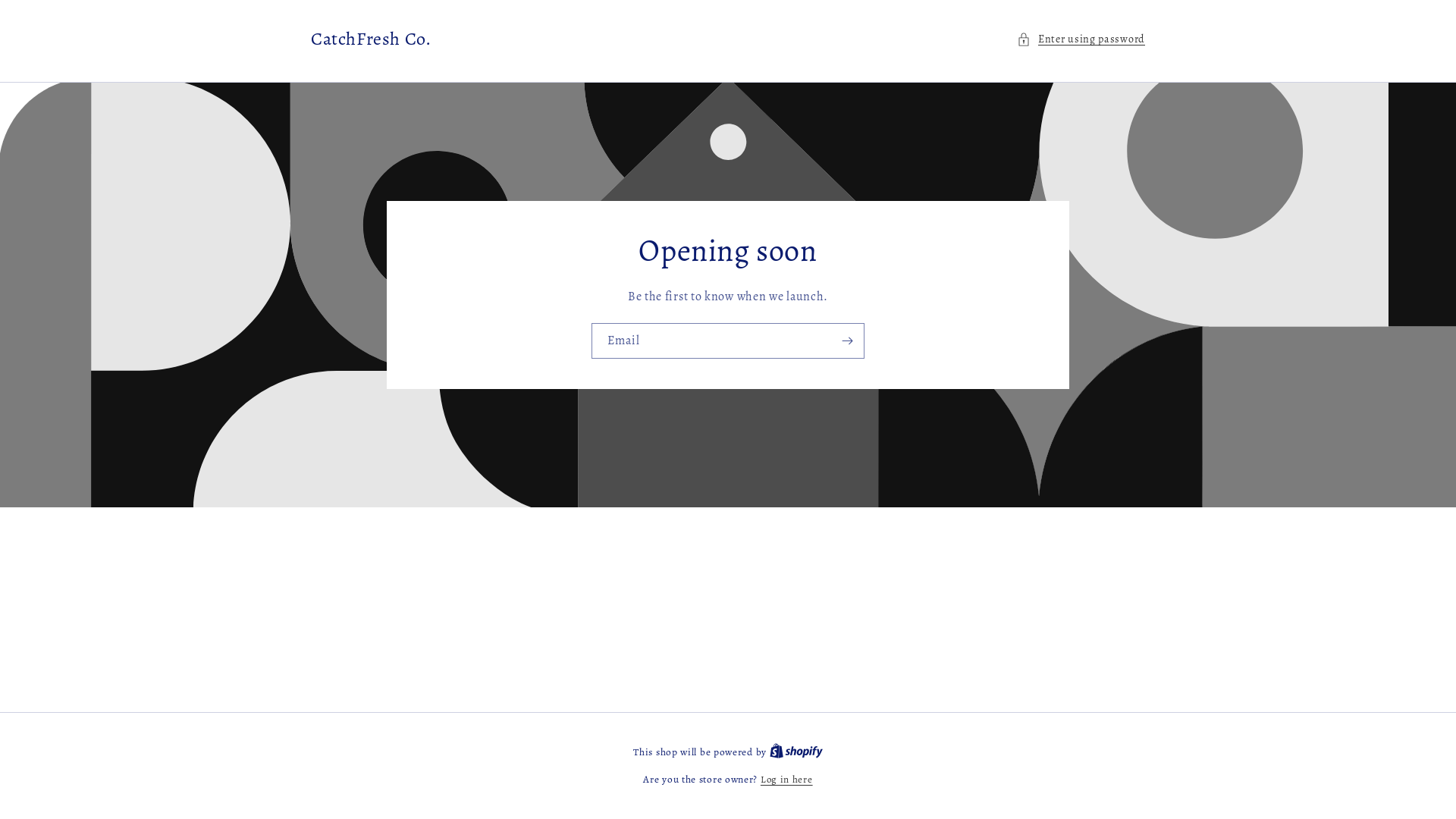 website screenshot of https://catchfreshco.com/