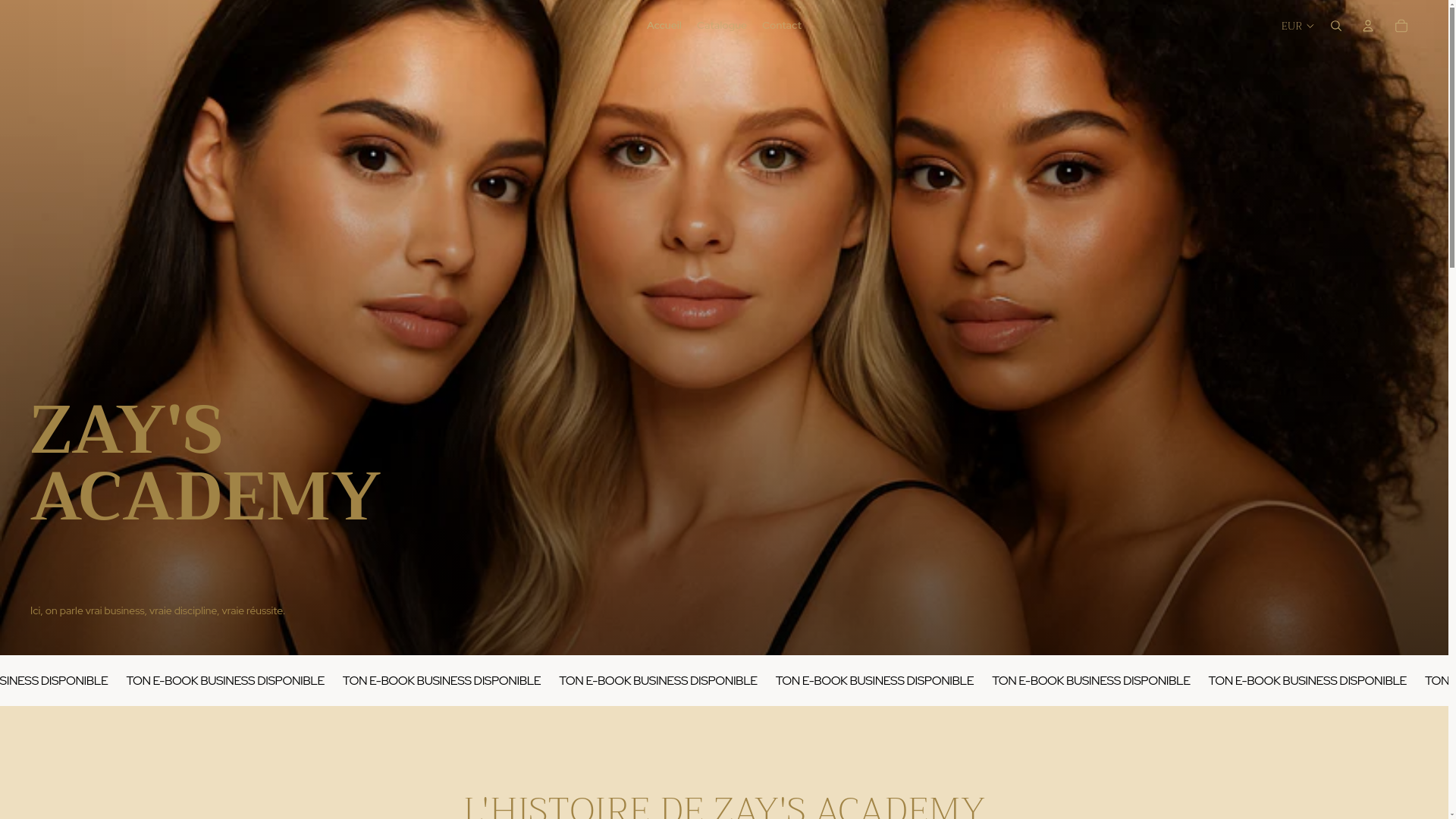 website screenshot of https://zaysacademy.com/