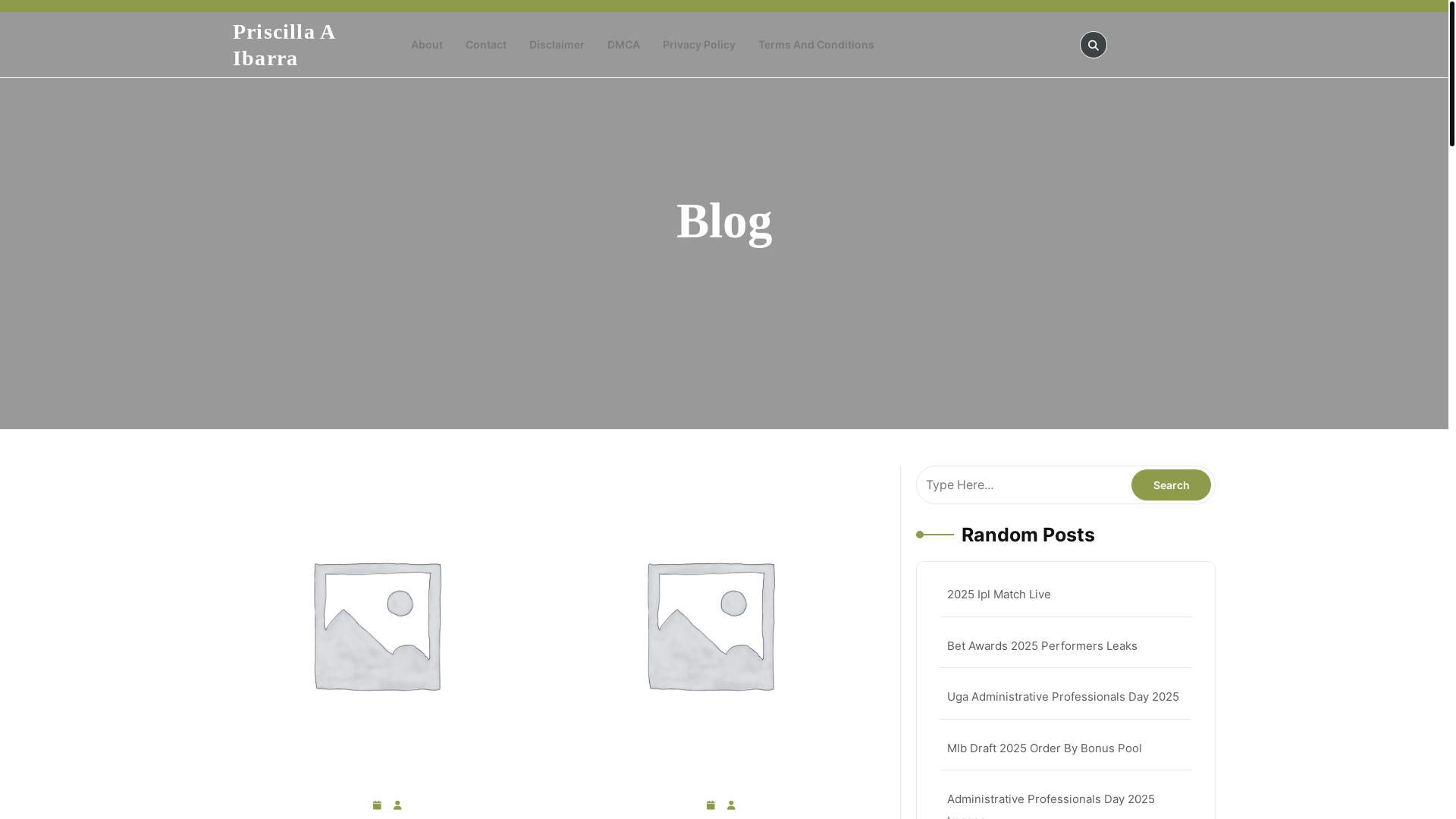 website screenshot of https://priscillaaibarraj.pages.dev/