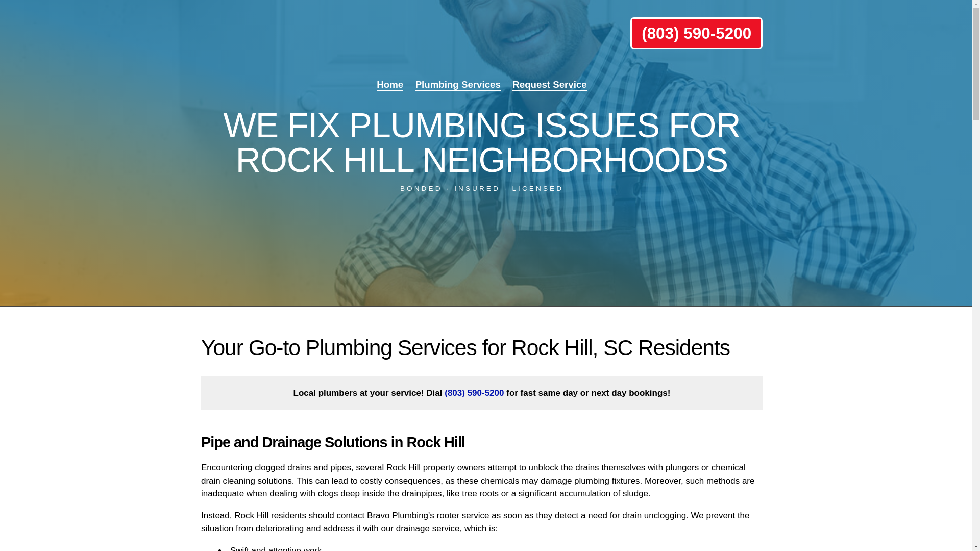 website screenshot of https://bravorockhillbestplumbing.com/