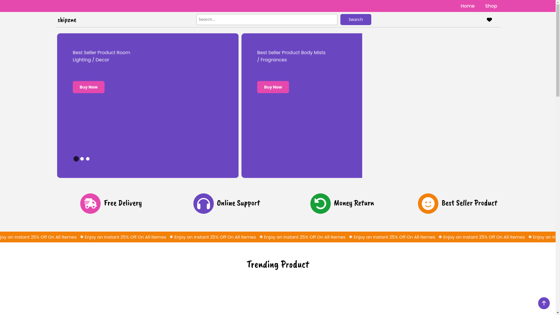 website screenshot of https://shipzne.com/