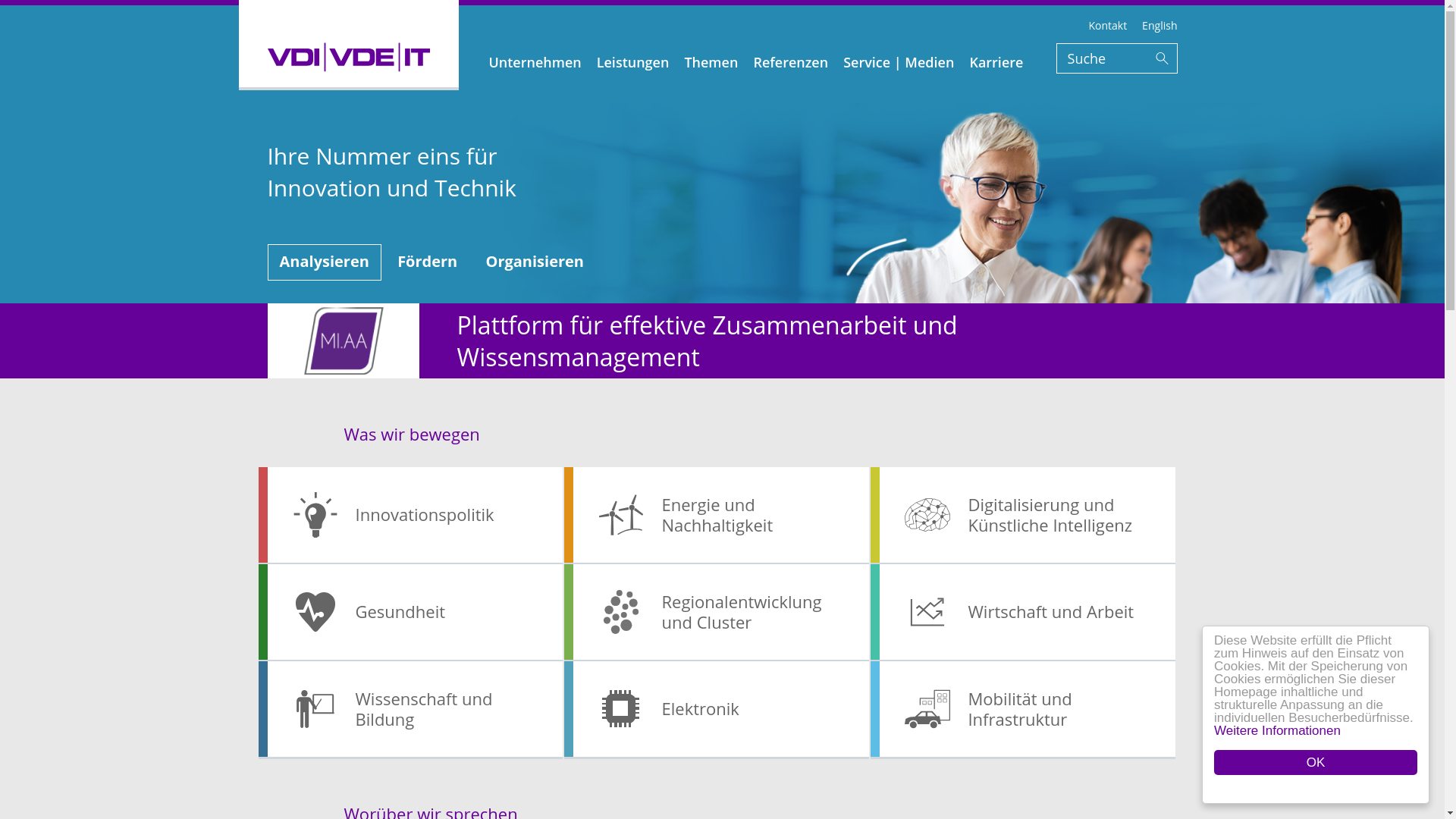 website screenshot of https://www.vdivde-it.de/