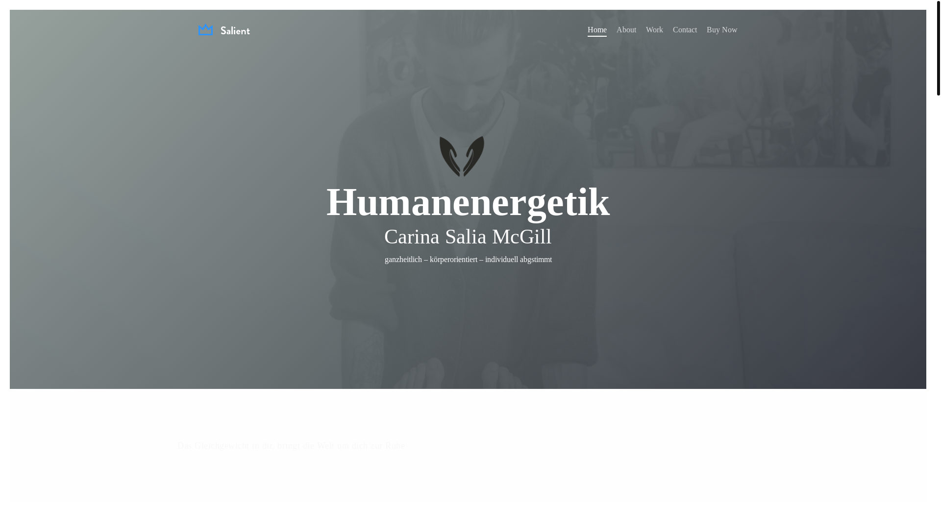 website screenshot of https://csmenergetik.at/