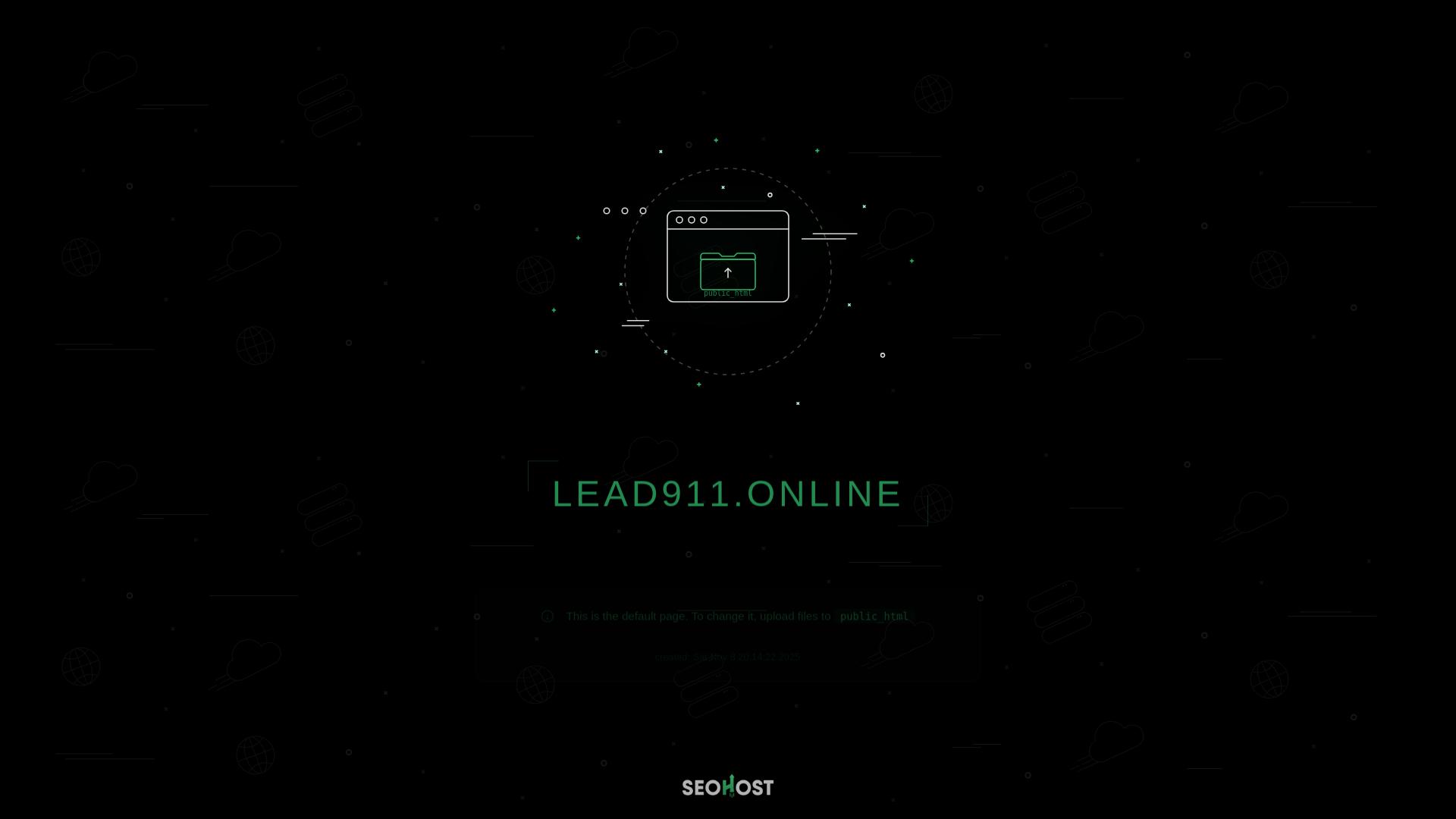 website screenshot of https://lead911.online/