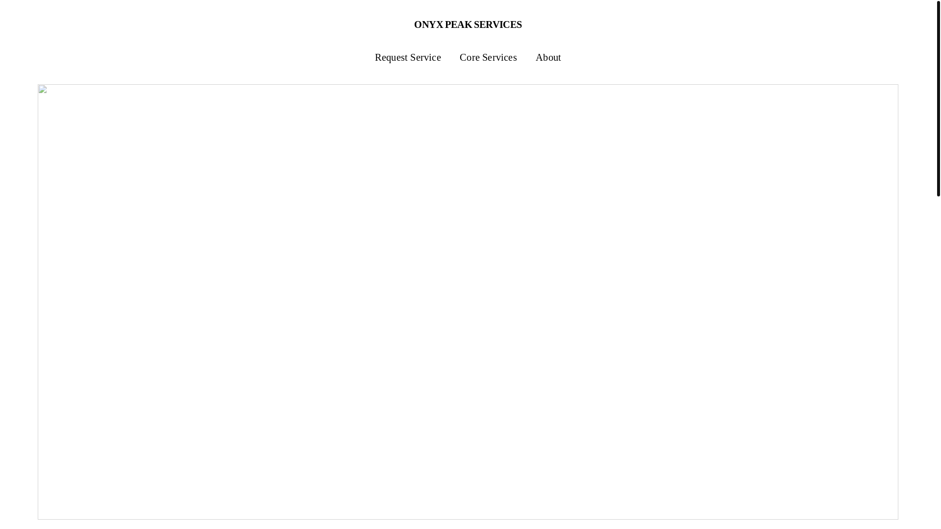 website screenshot of https://onyxpeakservices.com/