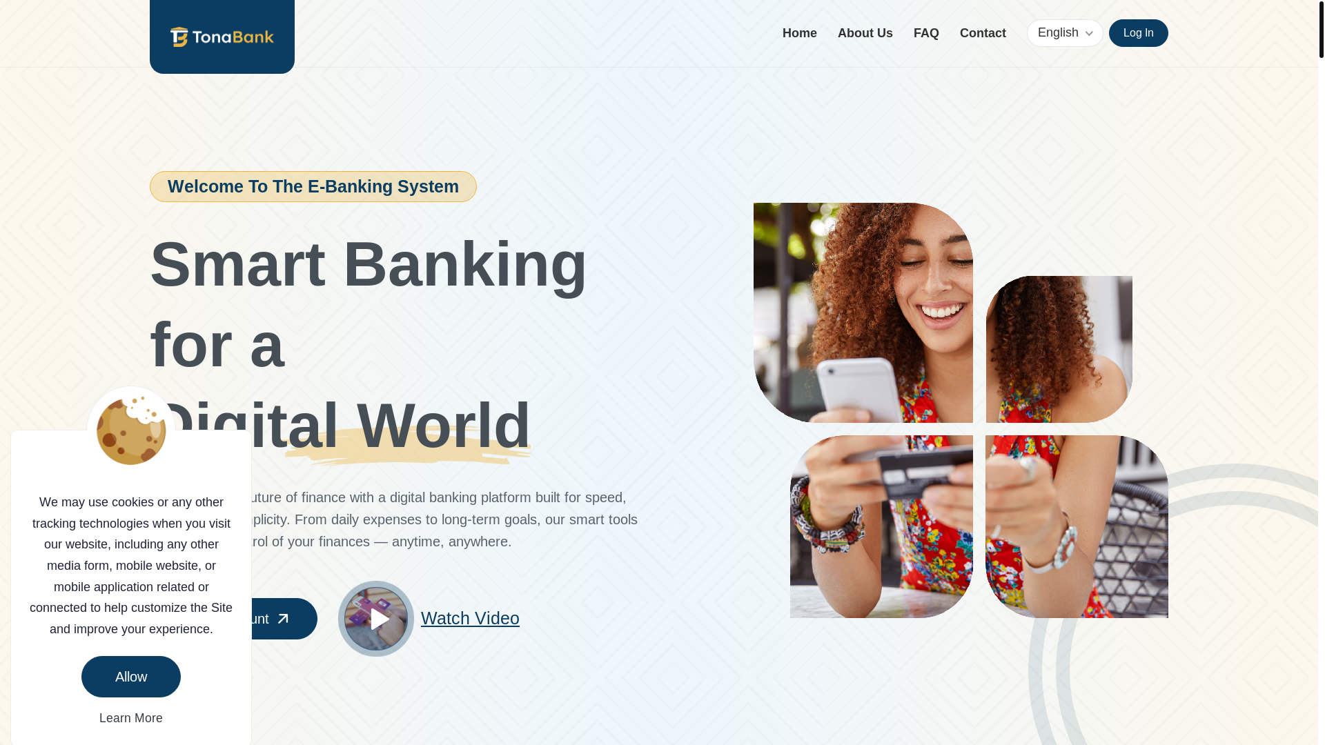 website screenshot of https://citizensfinanceportal.com/