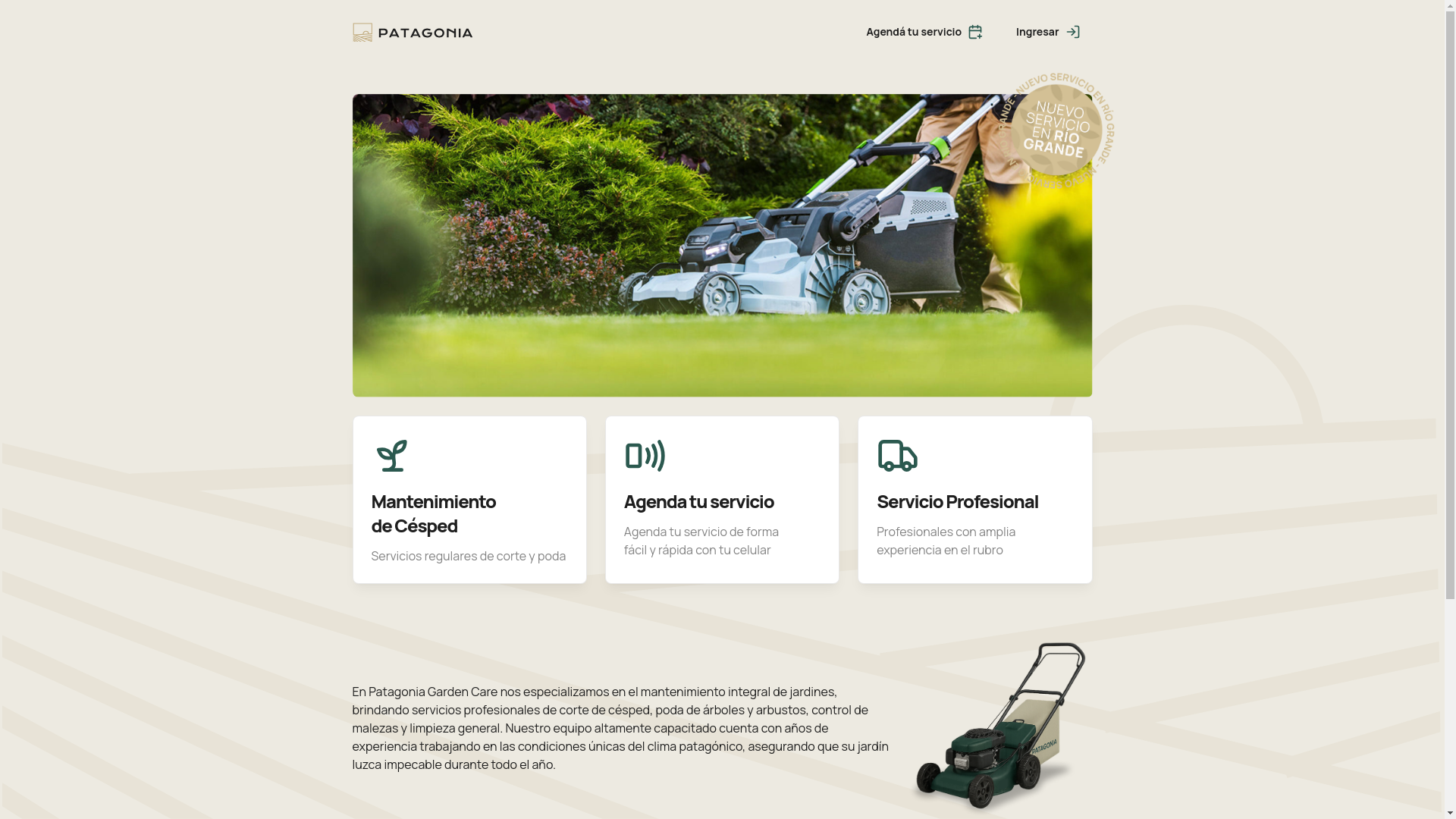 website screenshot of https://patcare.com.ar/