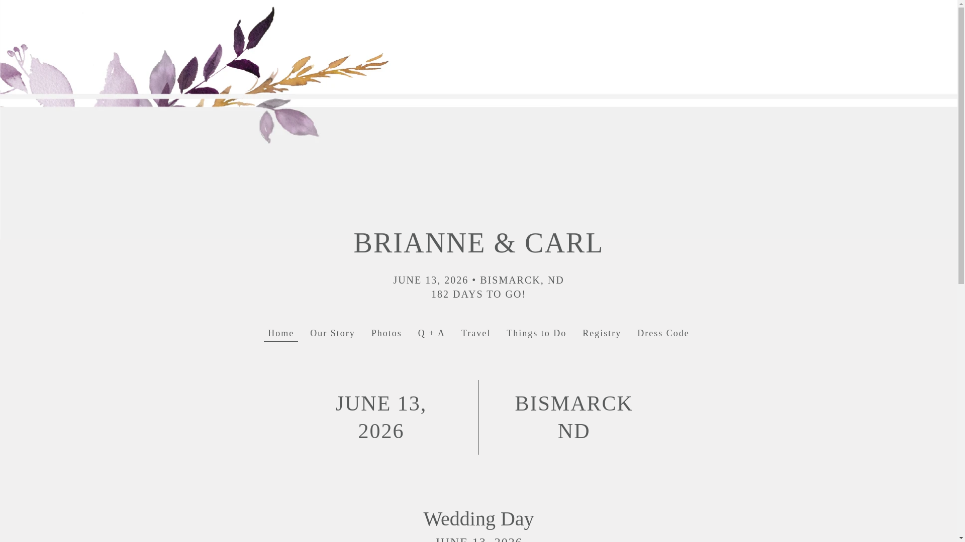 website screenshot of https://briandcarl.com/