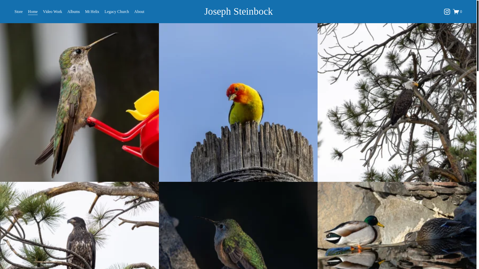 website screenshot of https://josephsteinbock.com/
