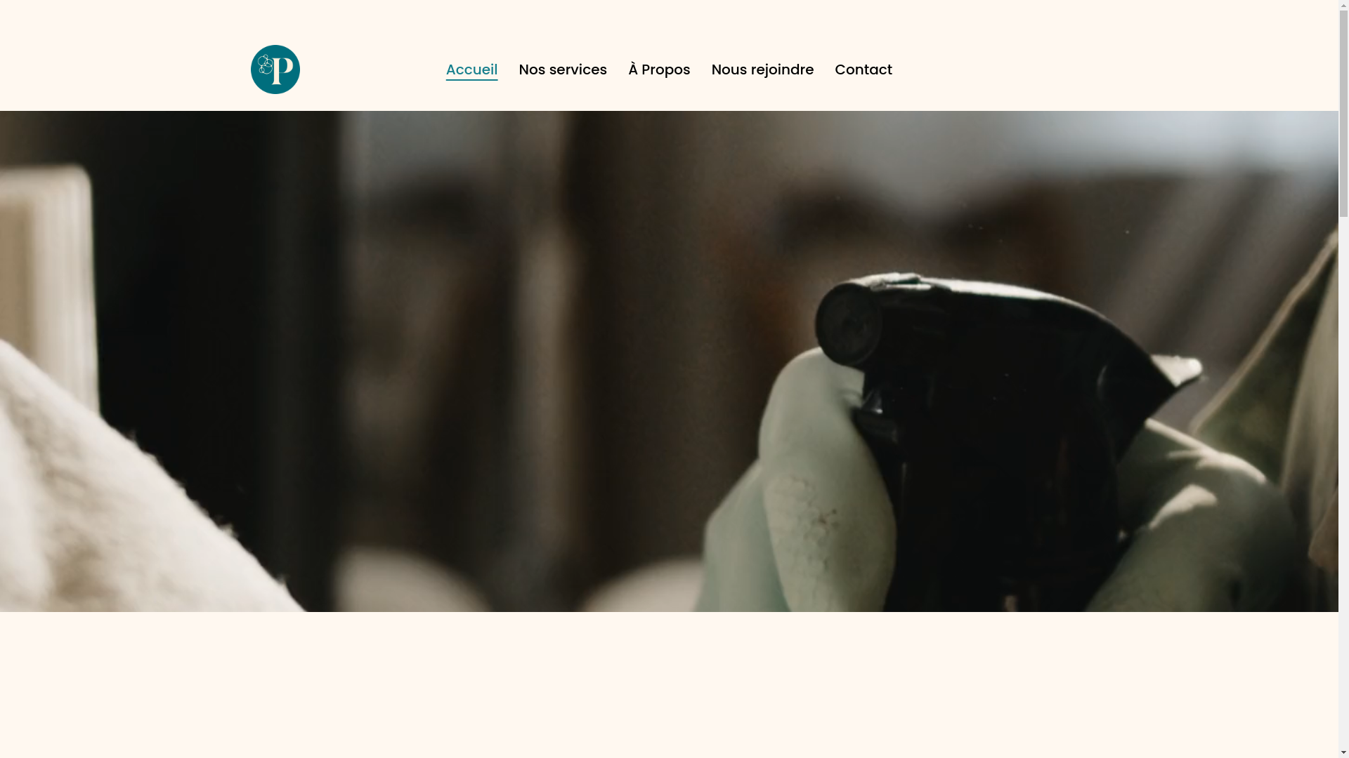 website screenshot of https://propikservices.fr/