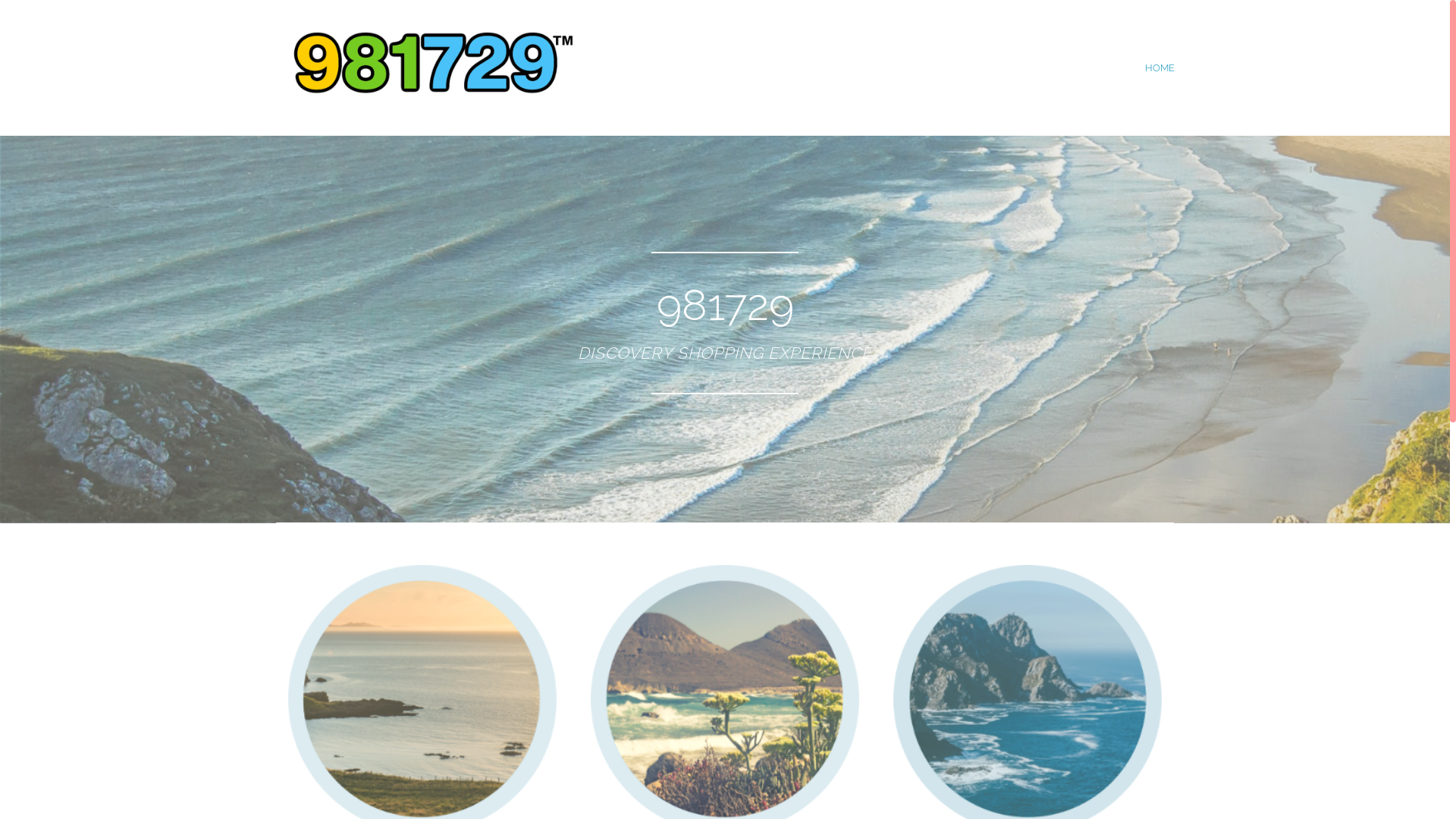 website screenshot of https://www.981729.com/