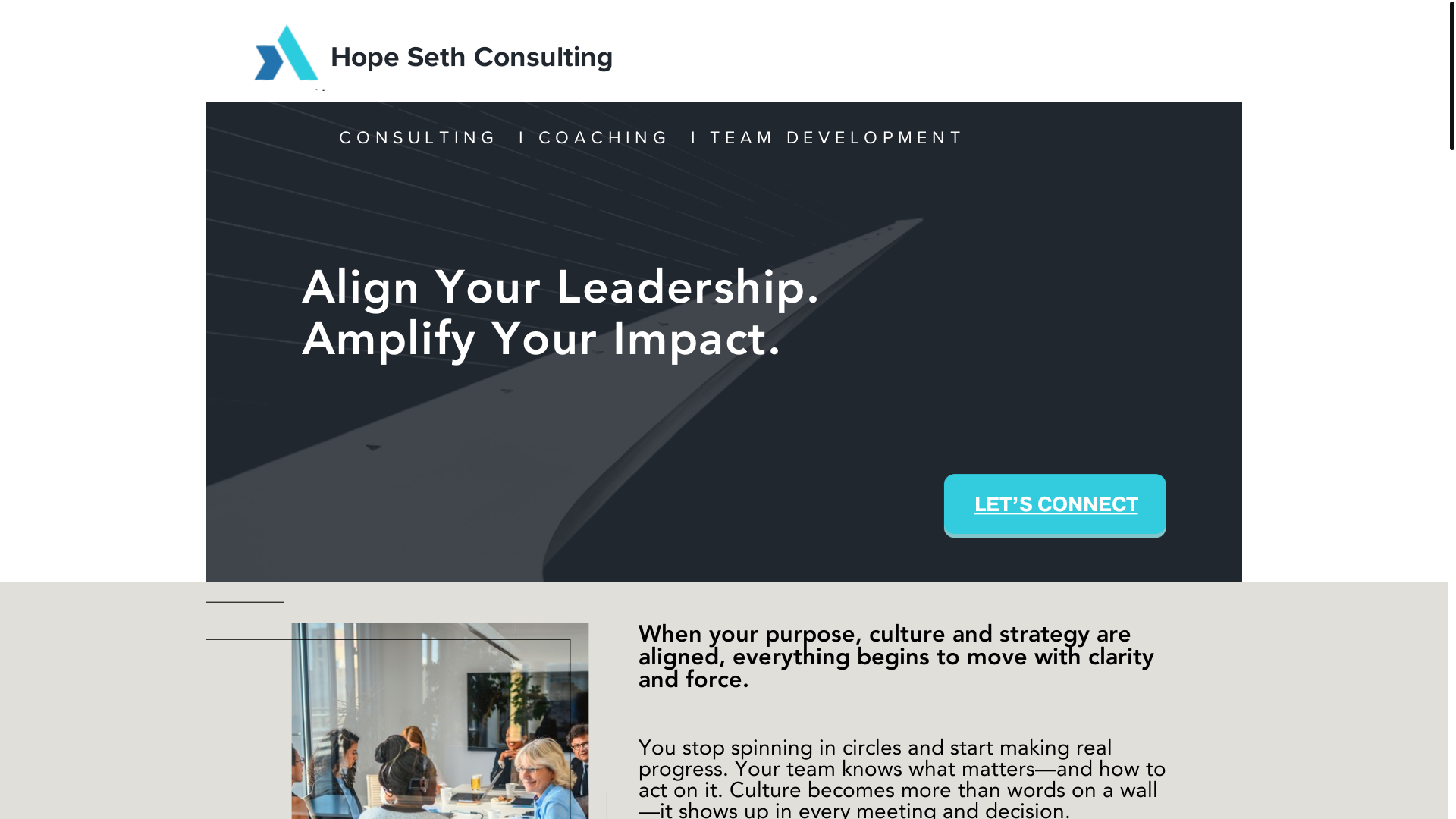 website screenshot of https://alignedleadershipstrategies.com/