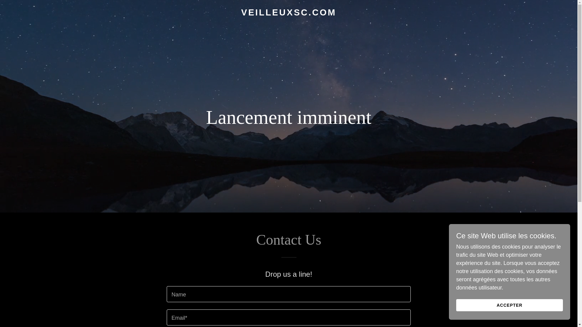 website screenshot of https://veilleuxsc.com/