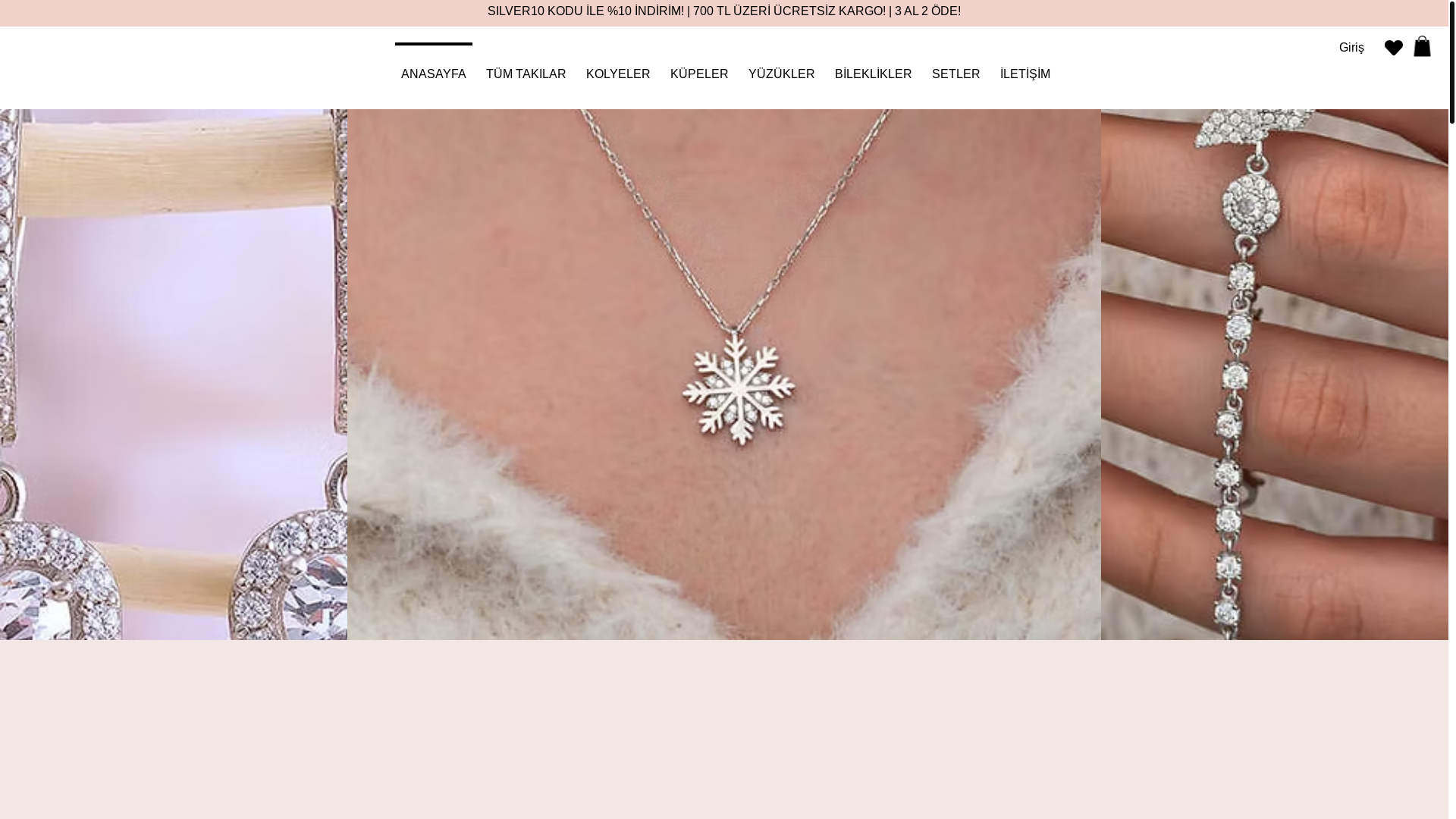 website screenshot of https://silvariegumus.com/