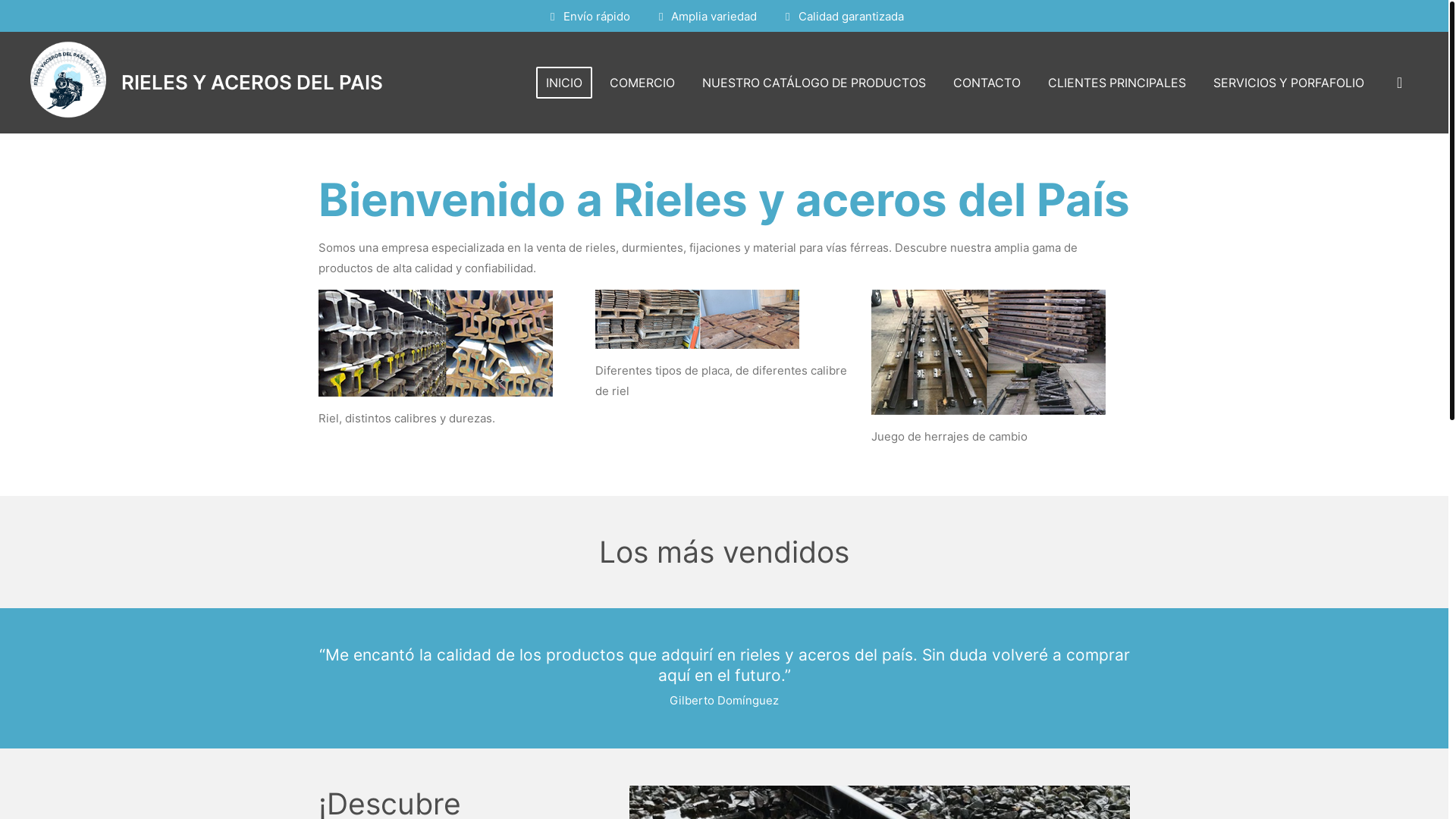 website screenshot of https://rielesyacerosdelpais.com/