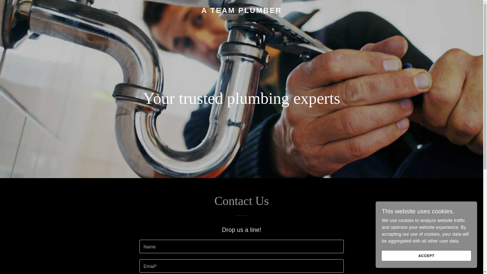 website screenshot of https://ateamplumber.ca/