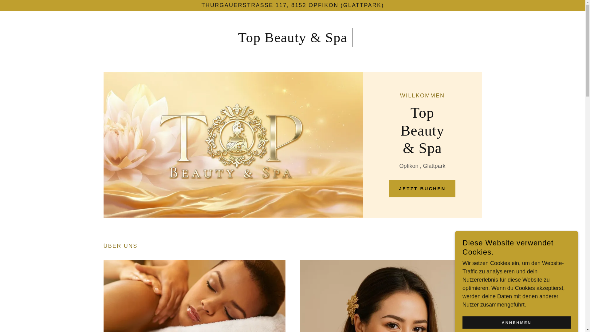 website screenshot of https://topbeautyandspa.ch/