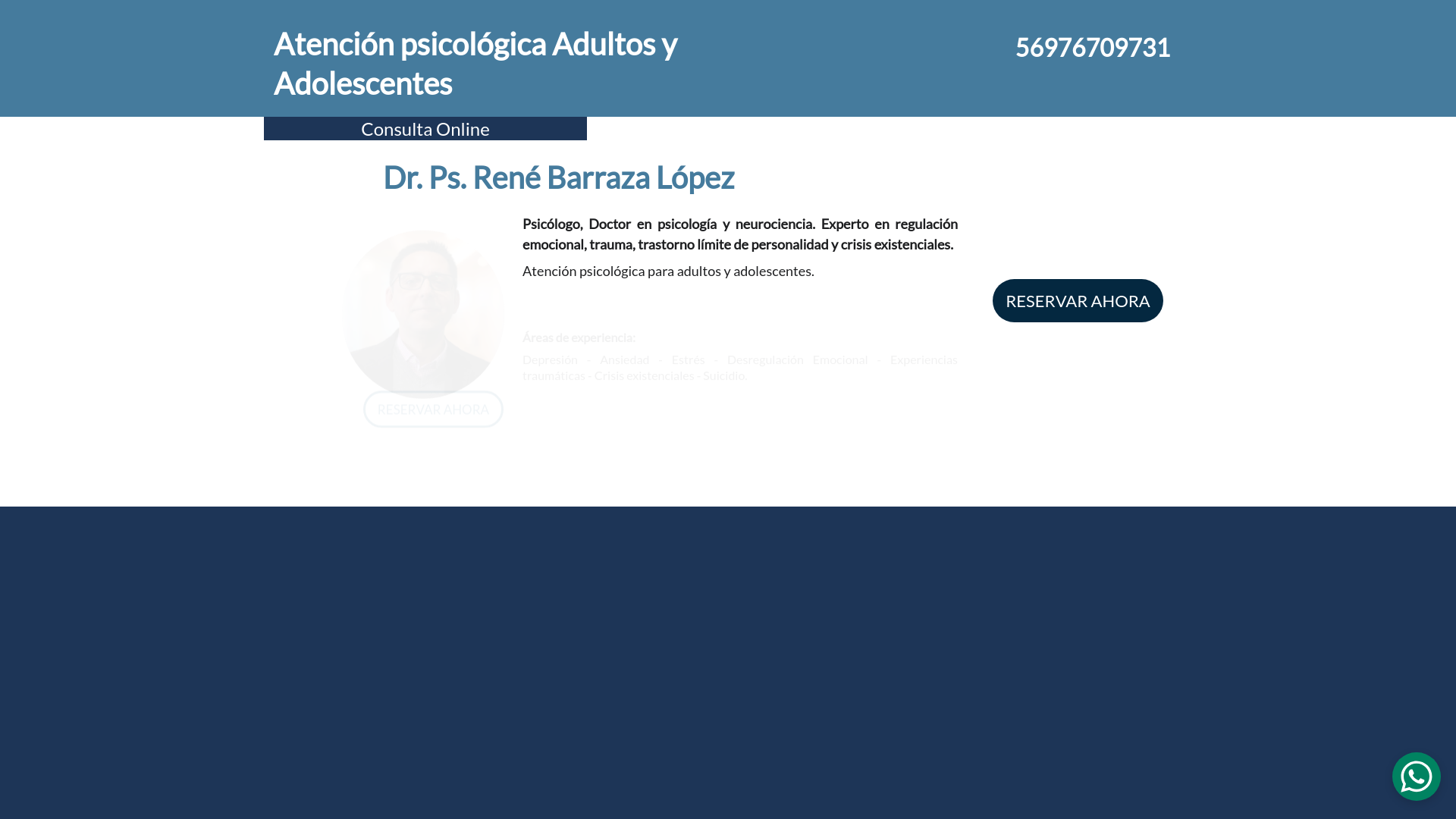 website screenshot of https://renebarraza.cl/