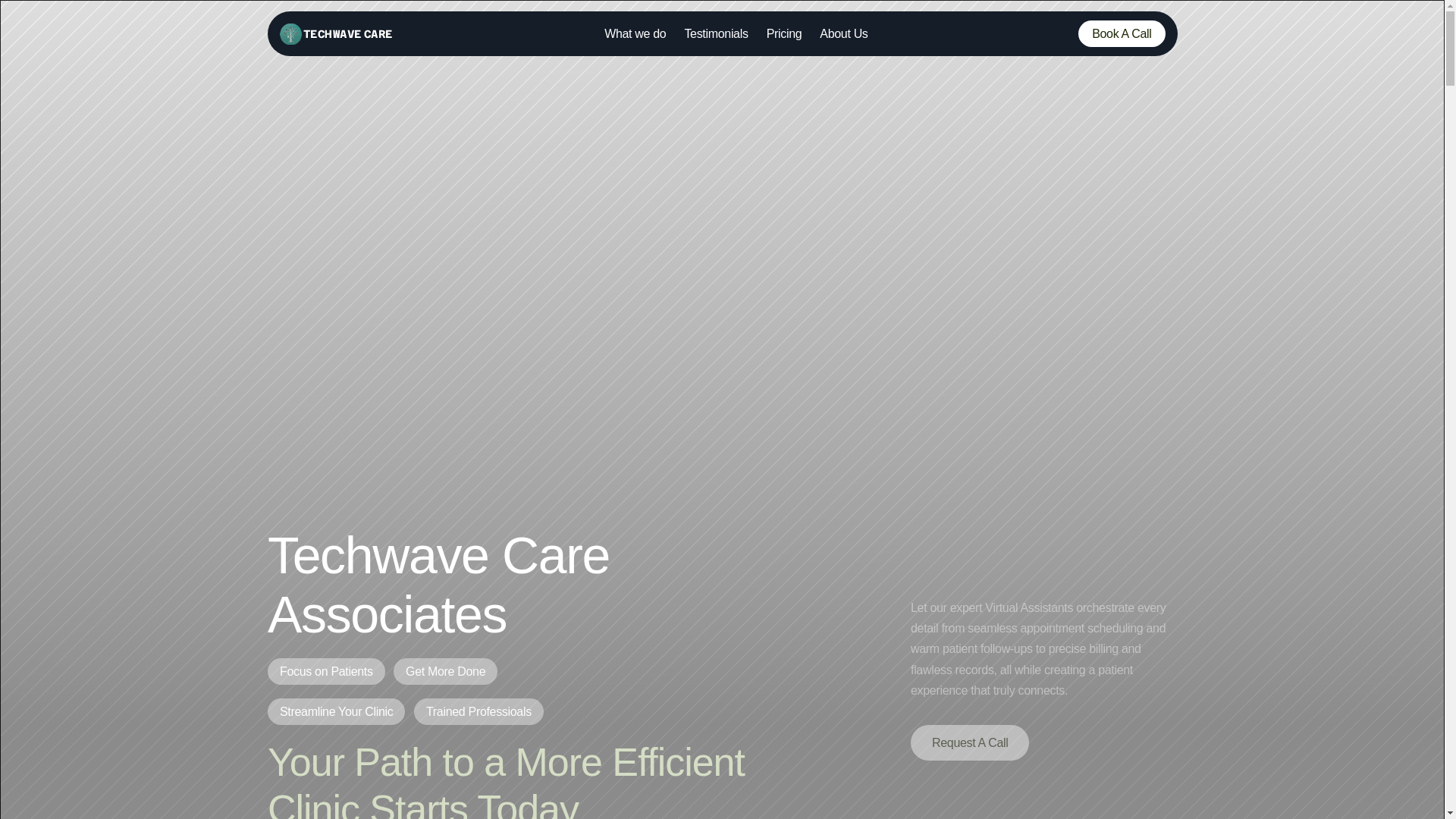website screenshot of https://techwavecareassociates.com/