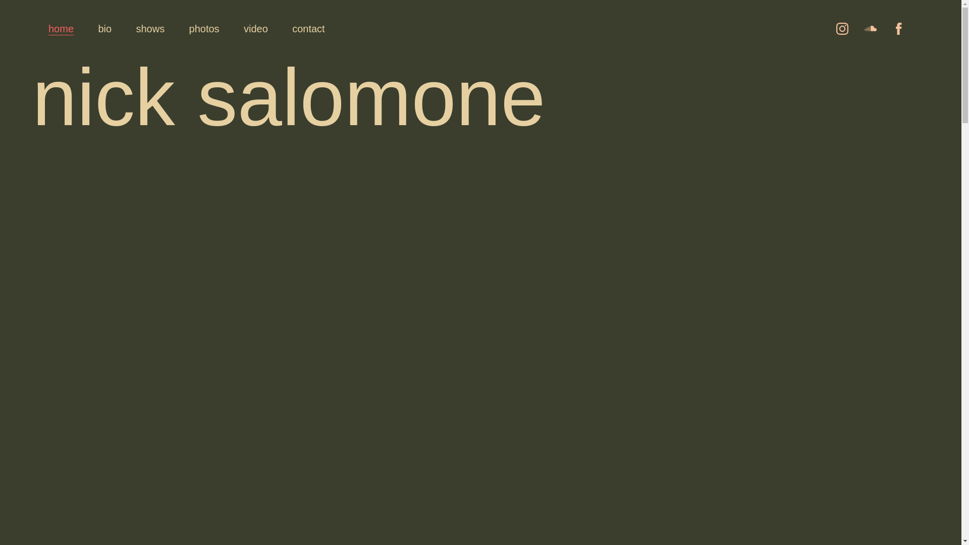 website screenshot of https://nicholassalomone.com/