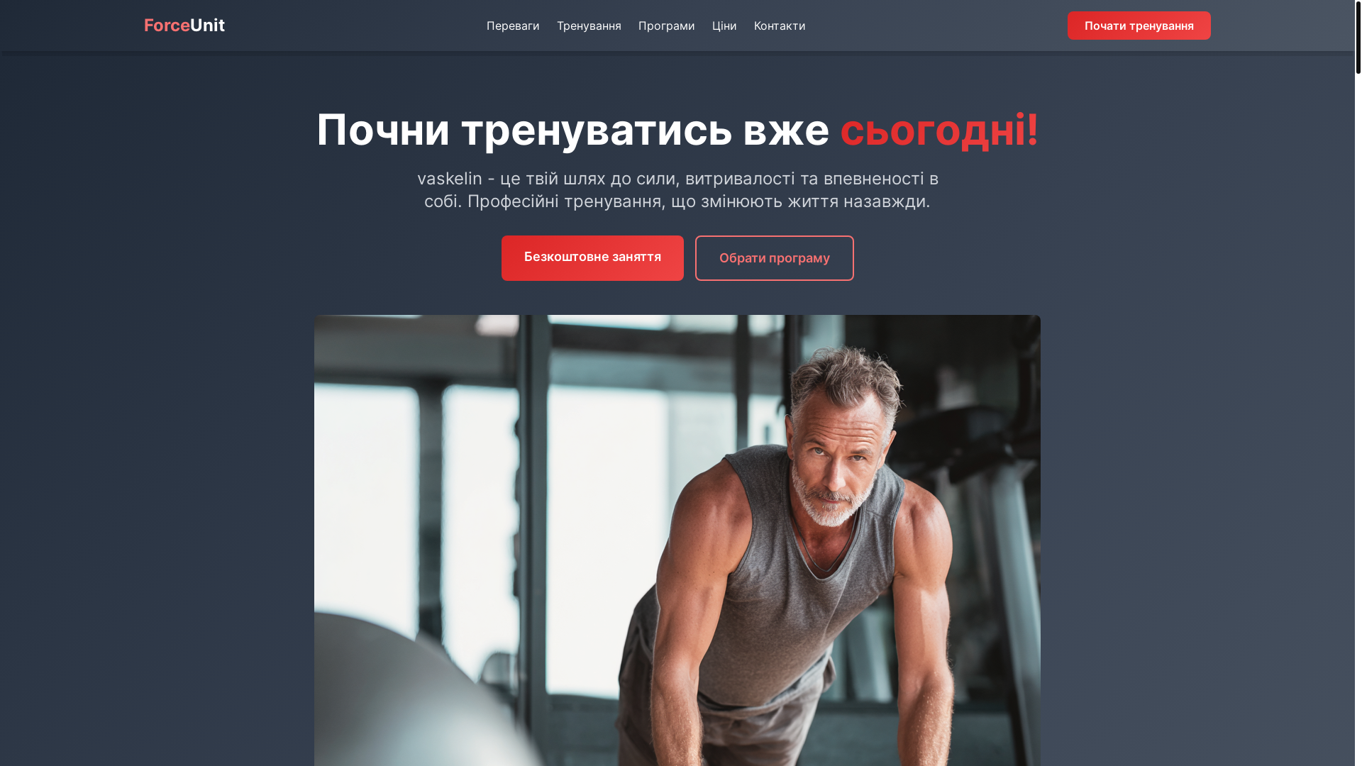 website screenshot of https://vaskelin.eu/