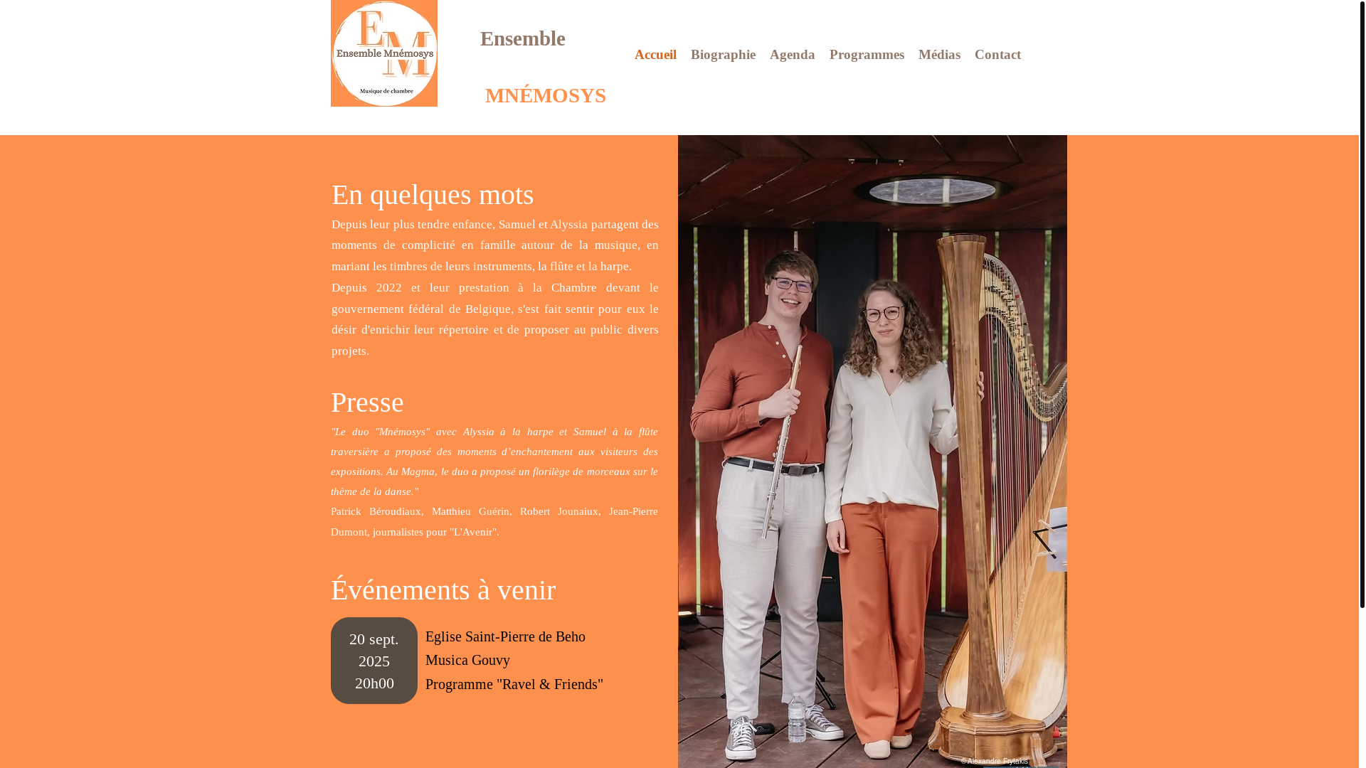 website screenshot of https://ensemblemnemosys.com/