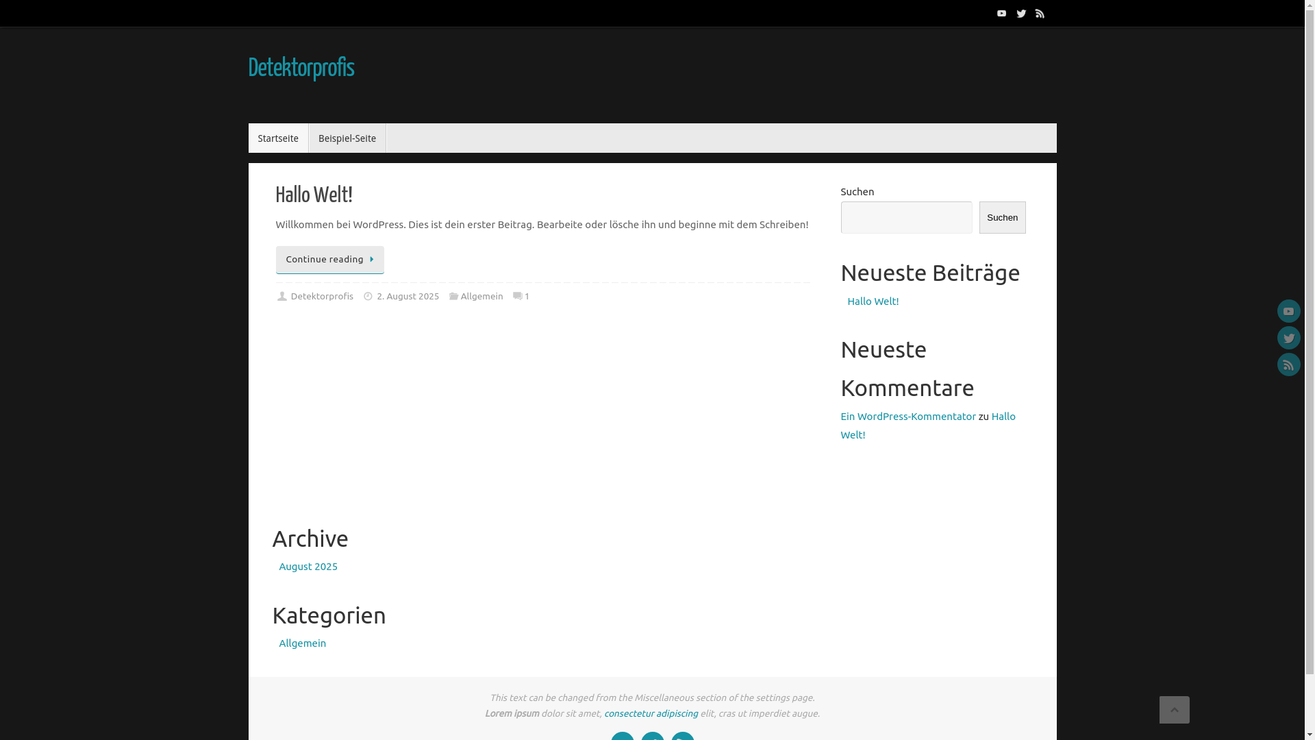website screenshot of https://detektorprofis.info/