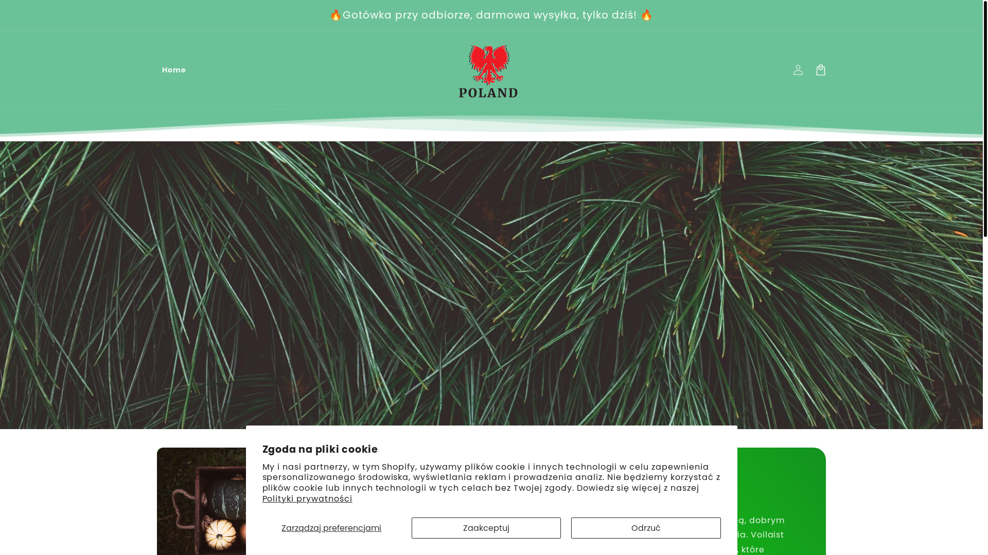 website screenshot of https://polnaskin.com/