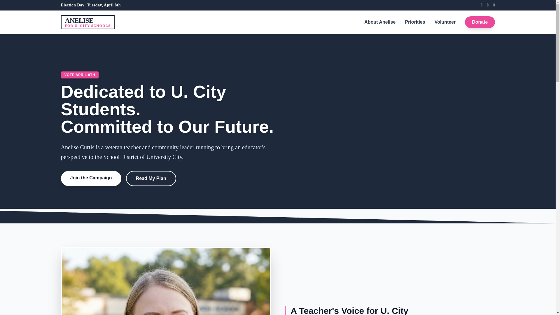 website screenshot of https://vote-anelise-staging-eh8.pages.dev/