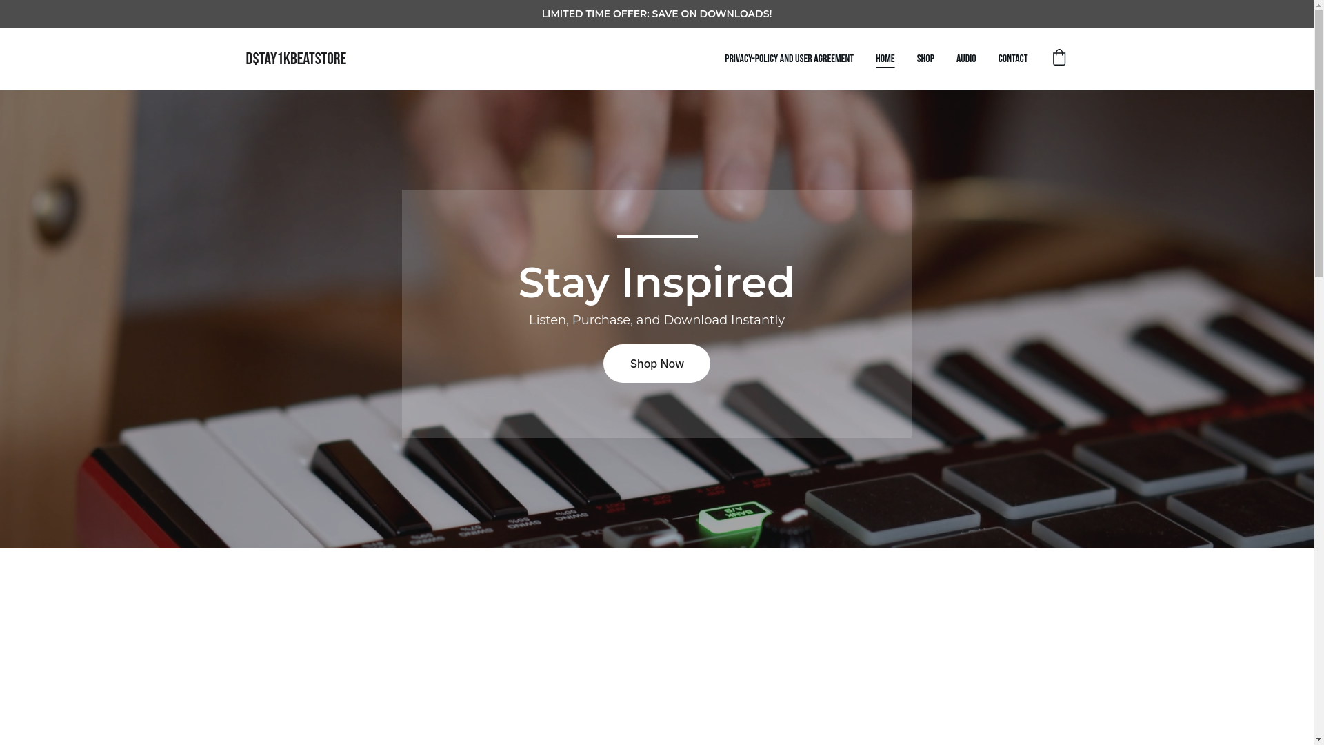 website screenshot of https://dstay1kbeatstore.com/