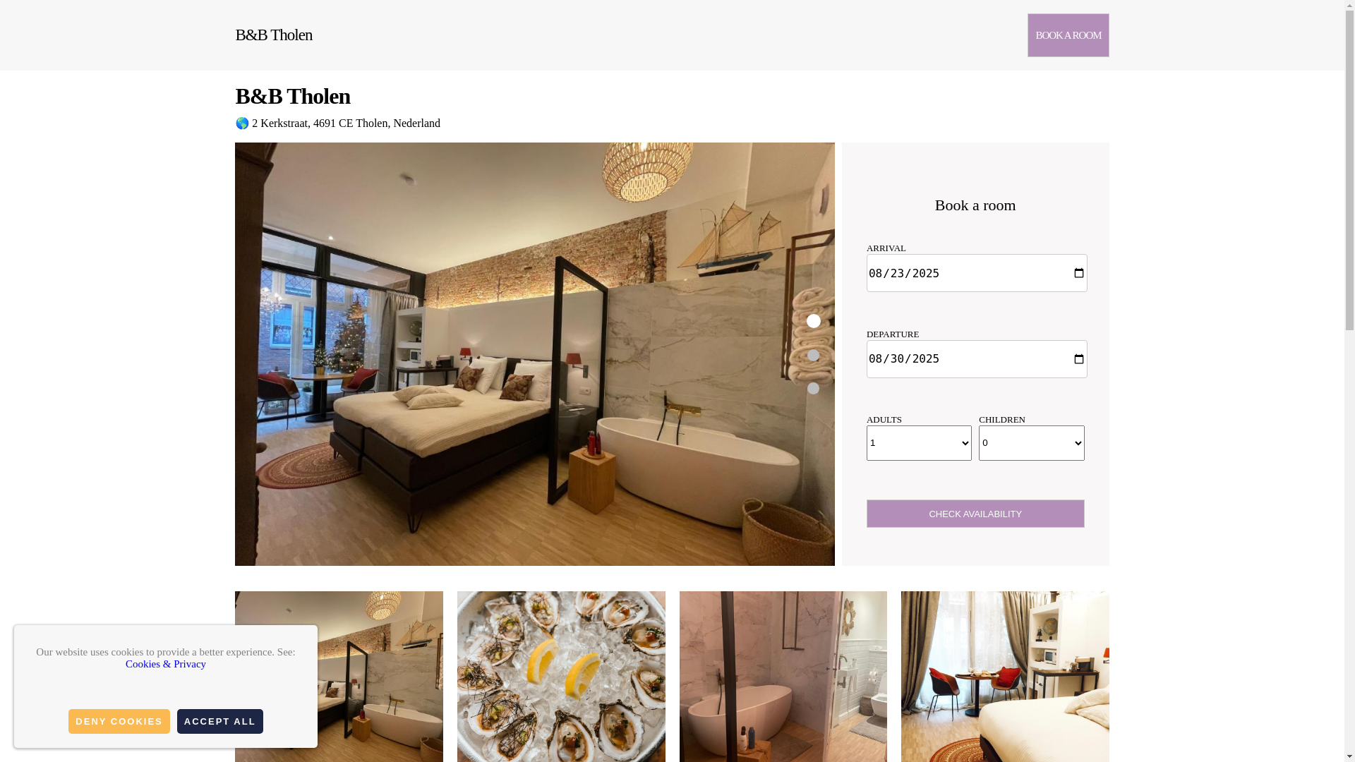 website screenshot of https://tholen.org.es/