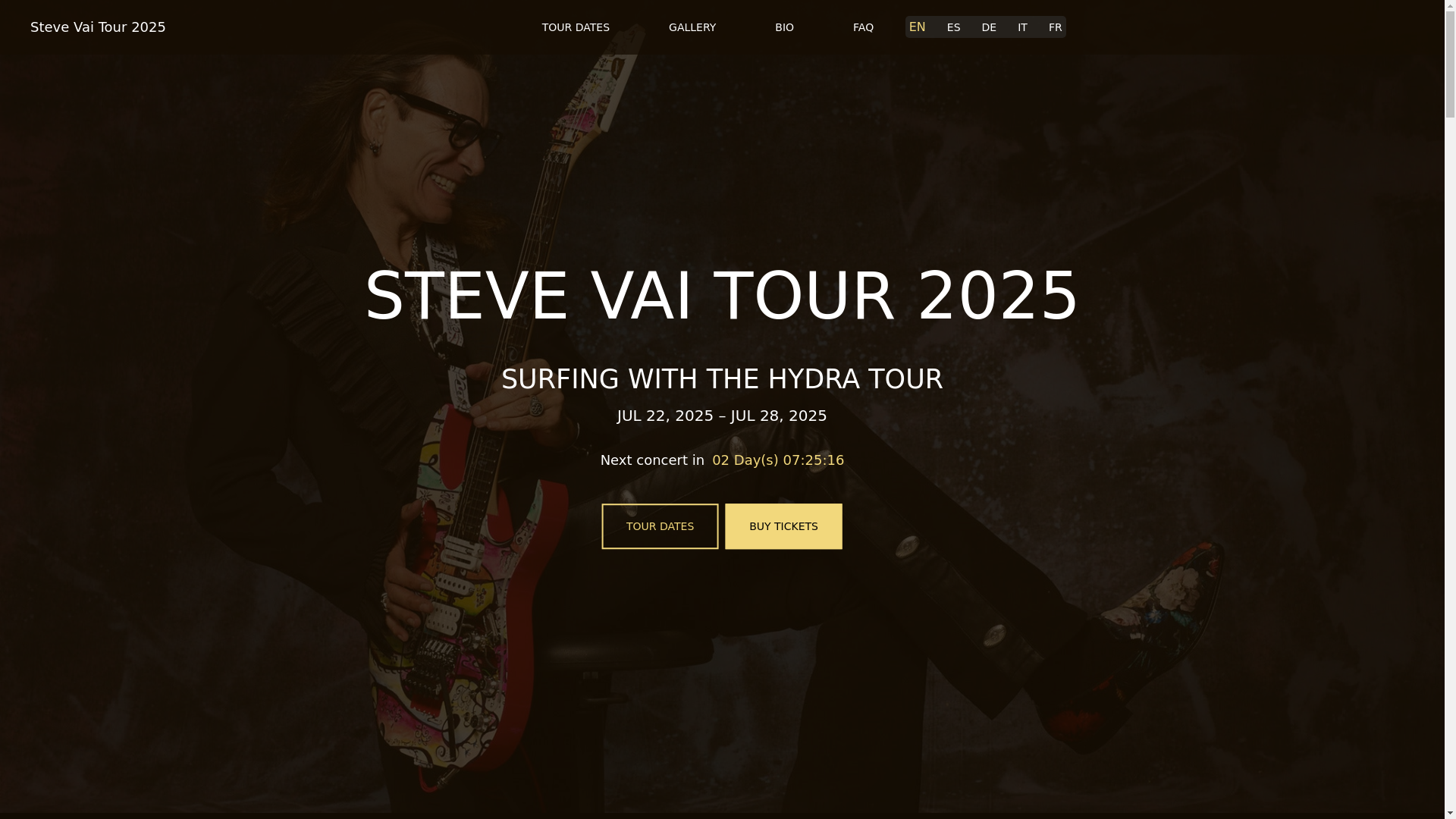 website screenshot of https://stevevaitour-com-github-io.pages.dev/